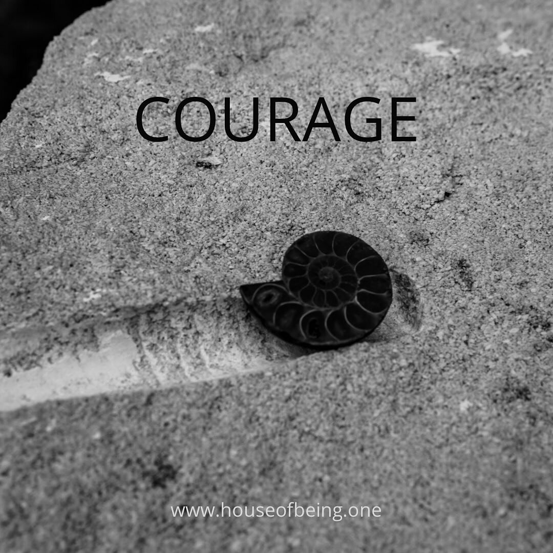 🌀courage is not heroically acting as if there is no fear&hellip;it&rsquo;s facing your fear; eyes wide open, surrendering to life 
.
.
Our LEVEL ONE TANTRA TRAINING kicks off today!
.
.
14 men and women set out on a courageous journey of meeting the