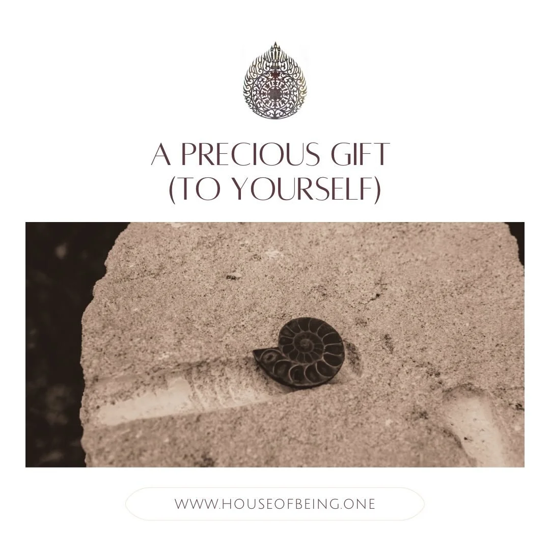 ✨THIS IS THE MOMENT 

A precious (Christmas) gift with lifetime benefit 
.
.
// Intro to Tantra Workshop (February 15)

// Level One Tantra Training (March 13-15)

// Tantra Year Training 2026
.
.
.
For more information &amp; registration: check one 