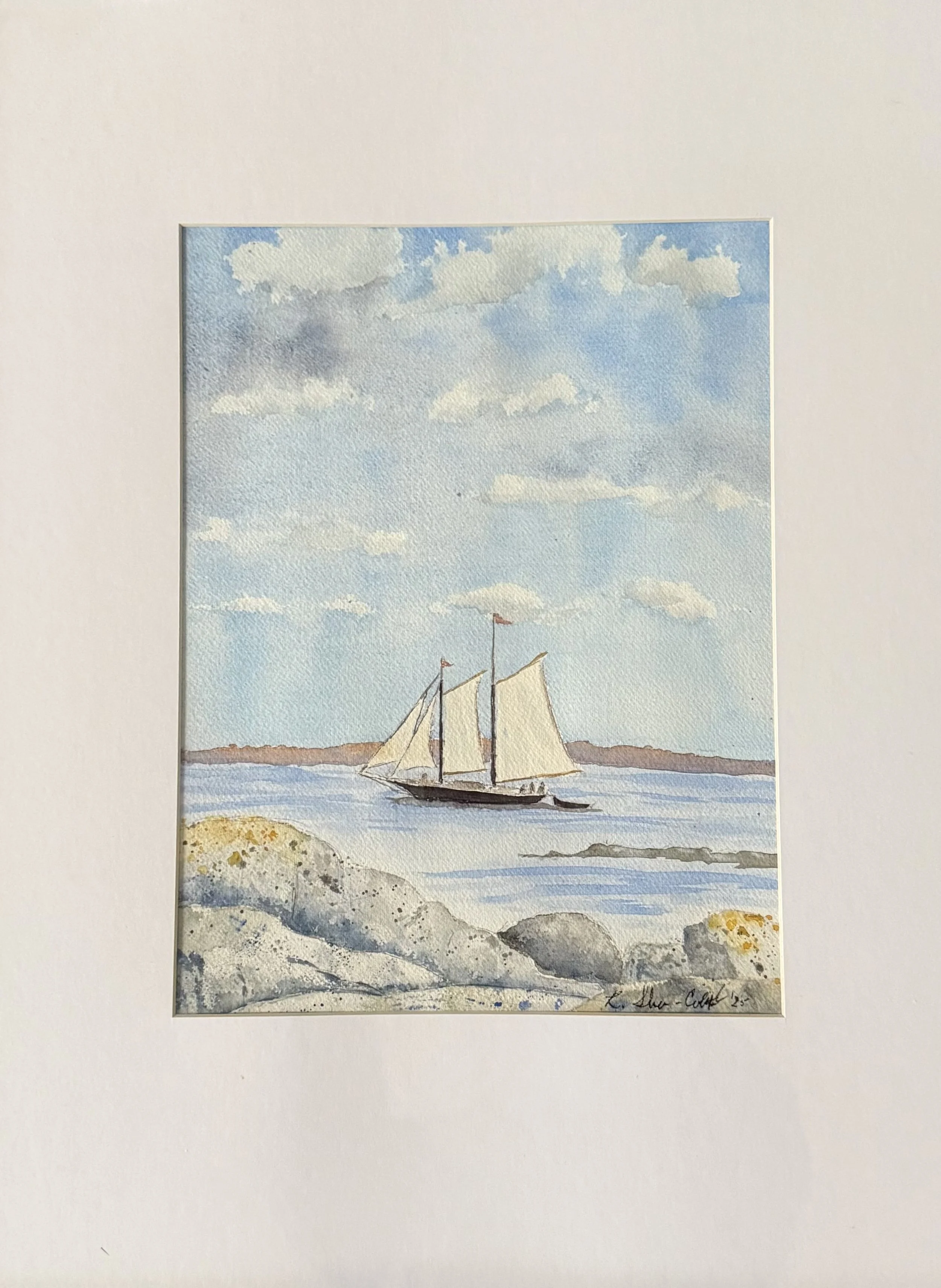 Rosemary Shea-Cobb