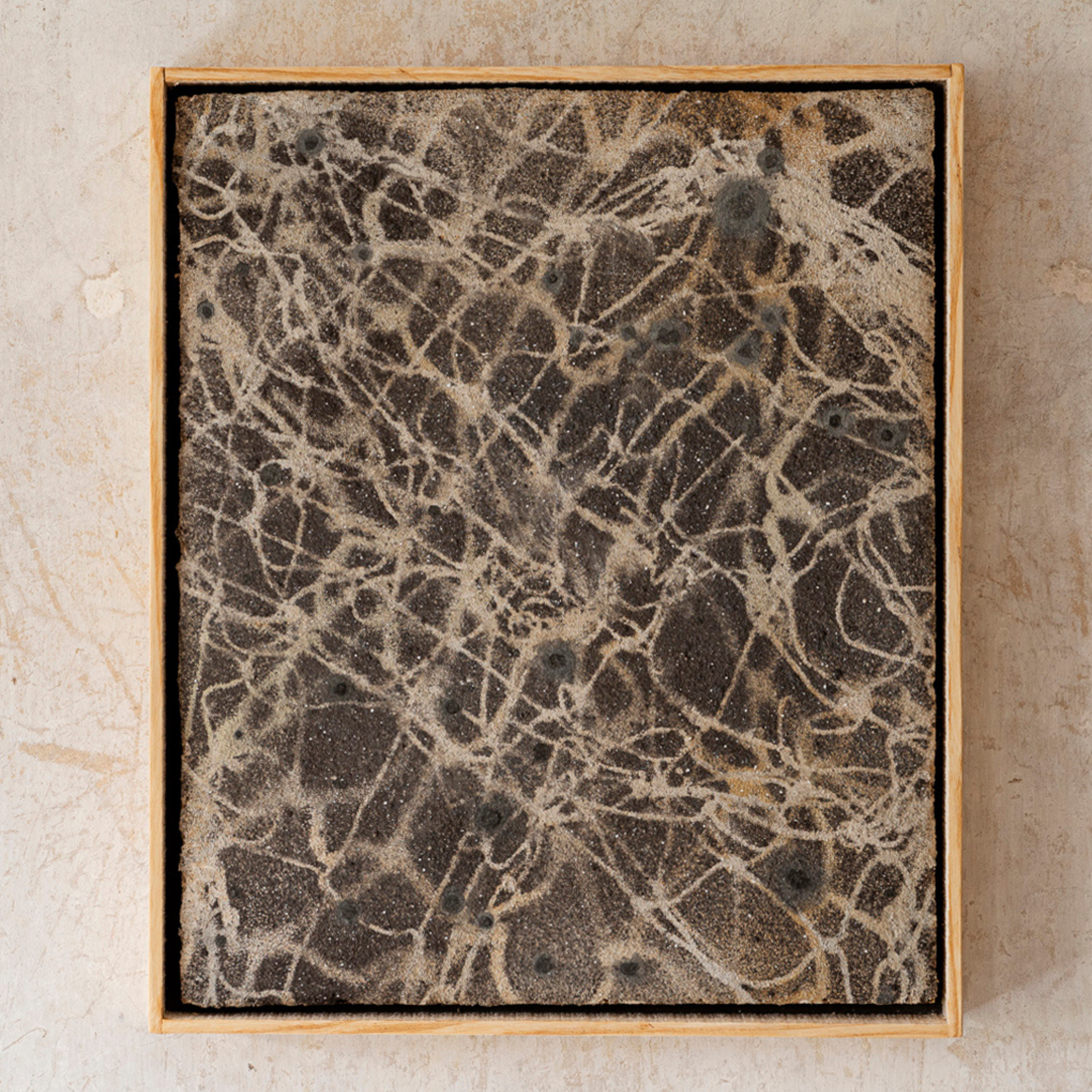 Untitled design - 2026-01-18T184421.071.png