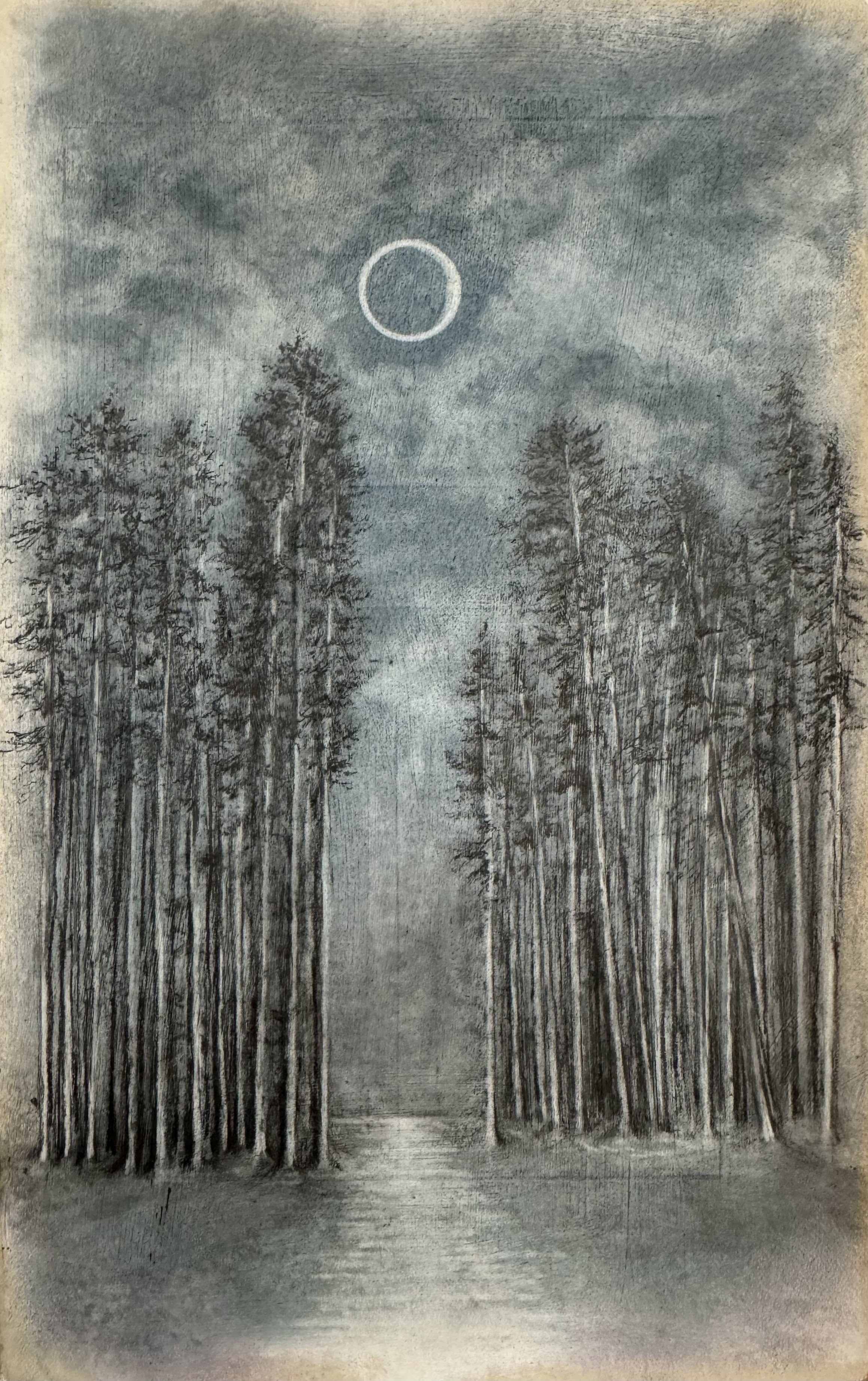 Walk_with_me_through_the_tall_trees.jpeg
