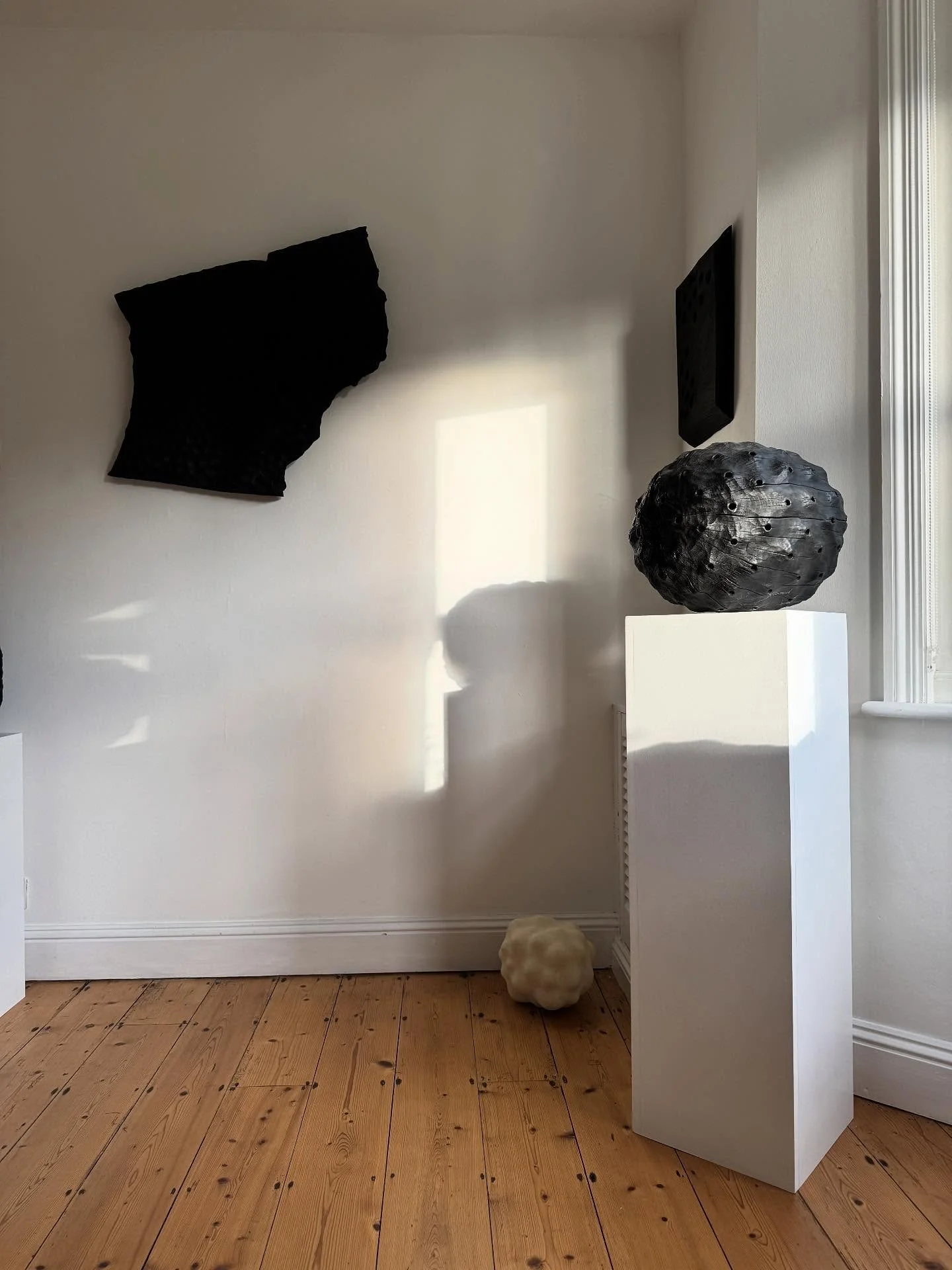 Morning light and shadow play on these brilliant sculptures by our Gallery Artist Lawrence Dicks. His incredible solo show &lsquo;Until Now&rsquo; continues until Sunday 26th October. 

Visit this weekend Friday, Saturday or Sunday 11am-4pm. 

This r