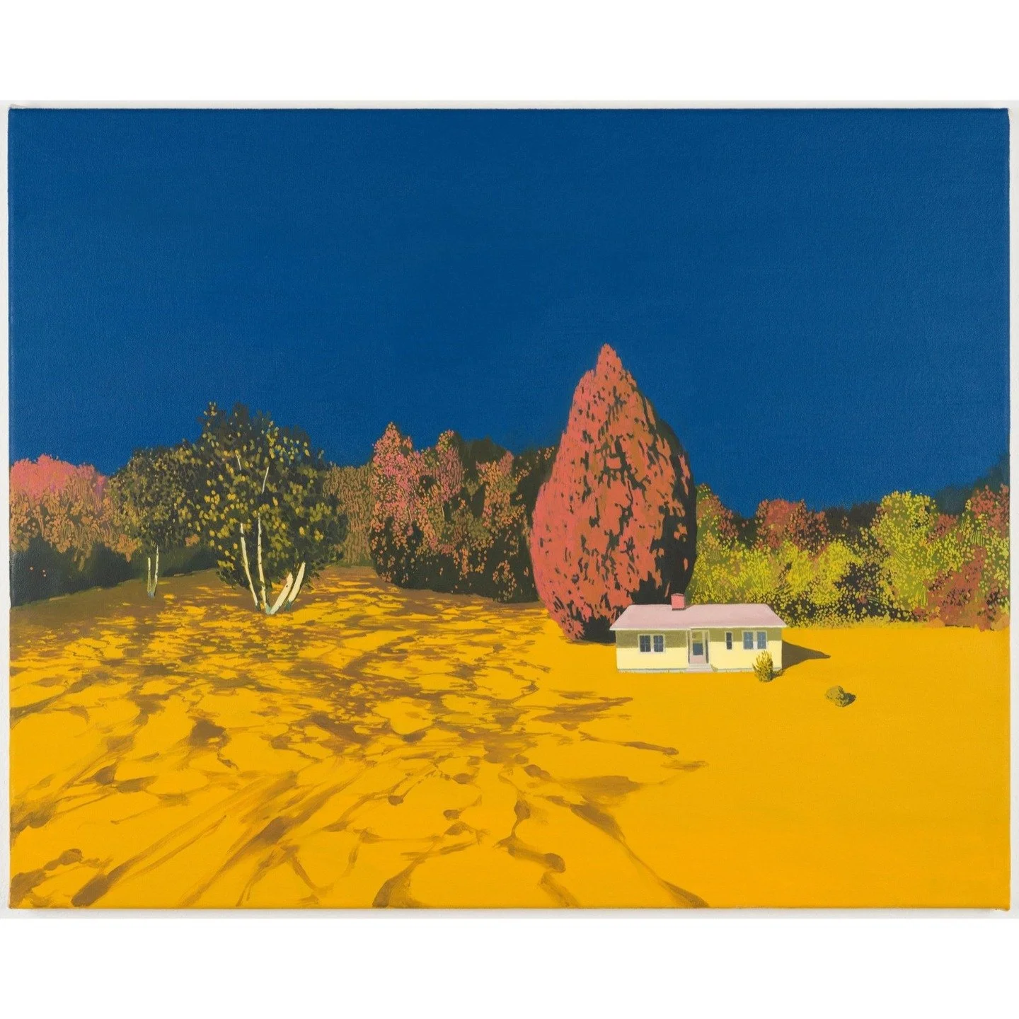 ✨Charlotte Brisland, Altered States✨

Continues until Friday 17th April. 
Open this week Wednesday 1st to Saturday 4th April, 11am to 4pm daily. The exhibition is also online at https://www.irvinggallery.com/exhibitions/charlotte-brisland-altered-sta