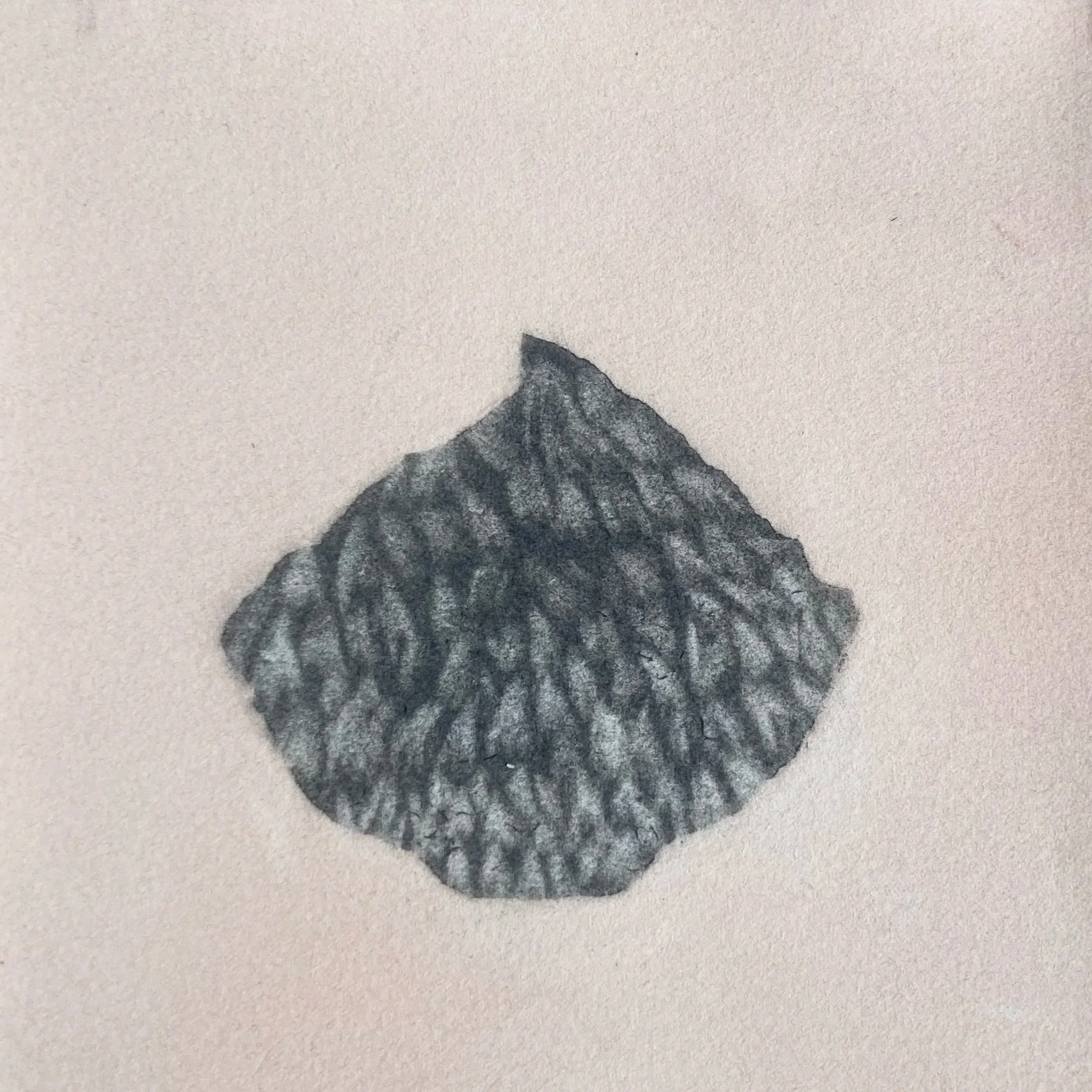 RACHAEL CAUSER