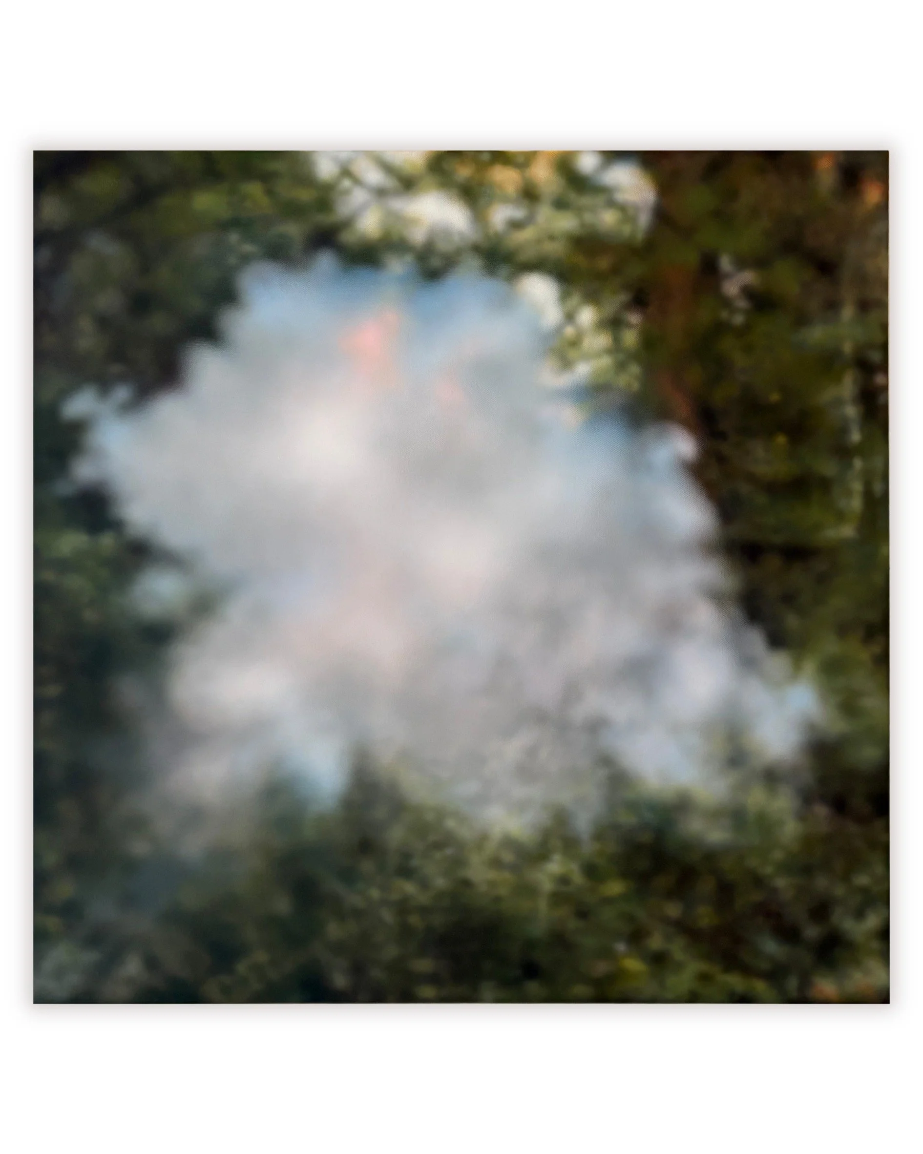 Huge thanks to everyone who visited Jo Berry's beautiful solo show 'Shadow Mirror' during its run at the gallery. 

The gallery is now closed for our summer break; however, Jo's paintings will remain on the wall for a further few weeks until 7th Augu