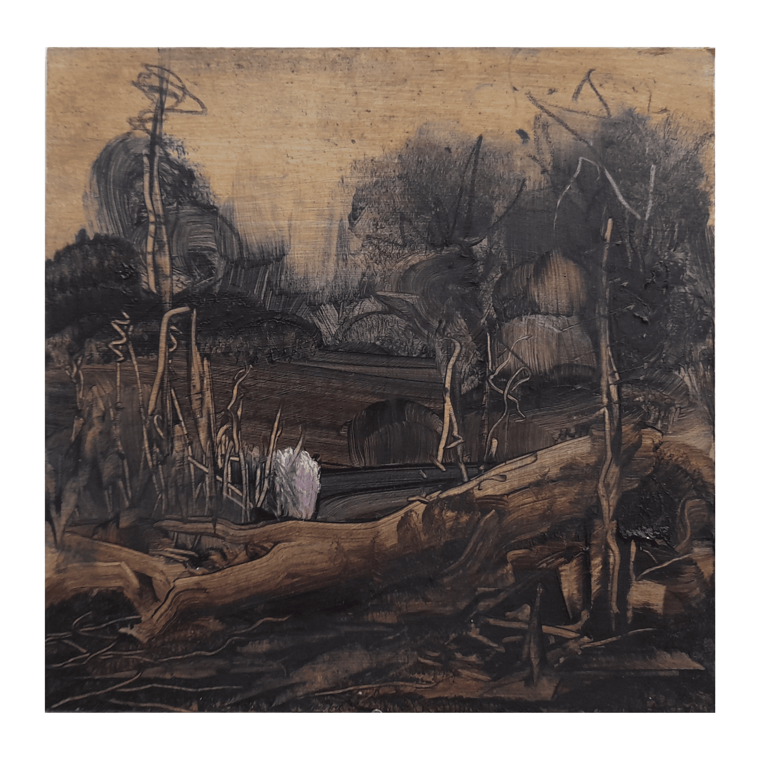 Untitled design - 2026-02-03T181107.449.png