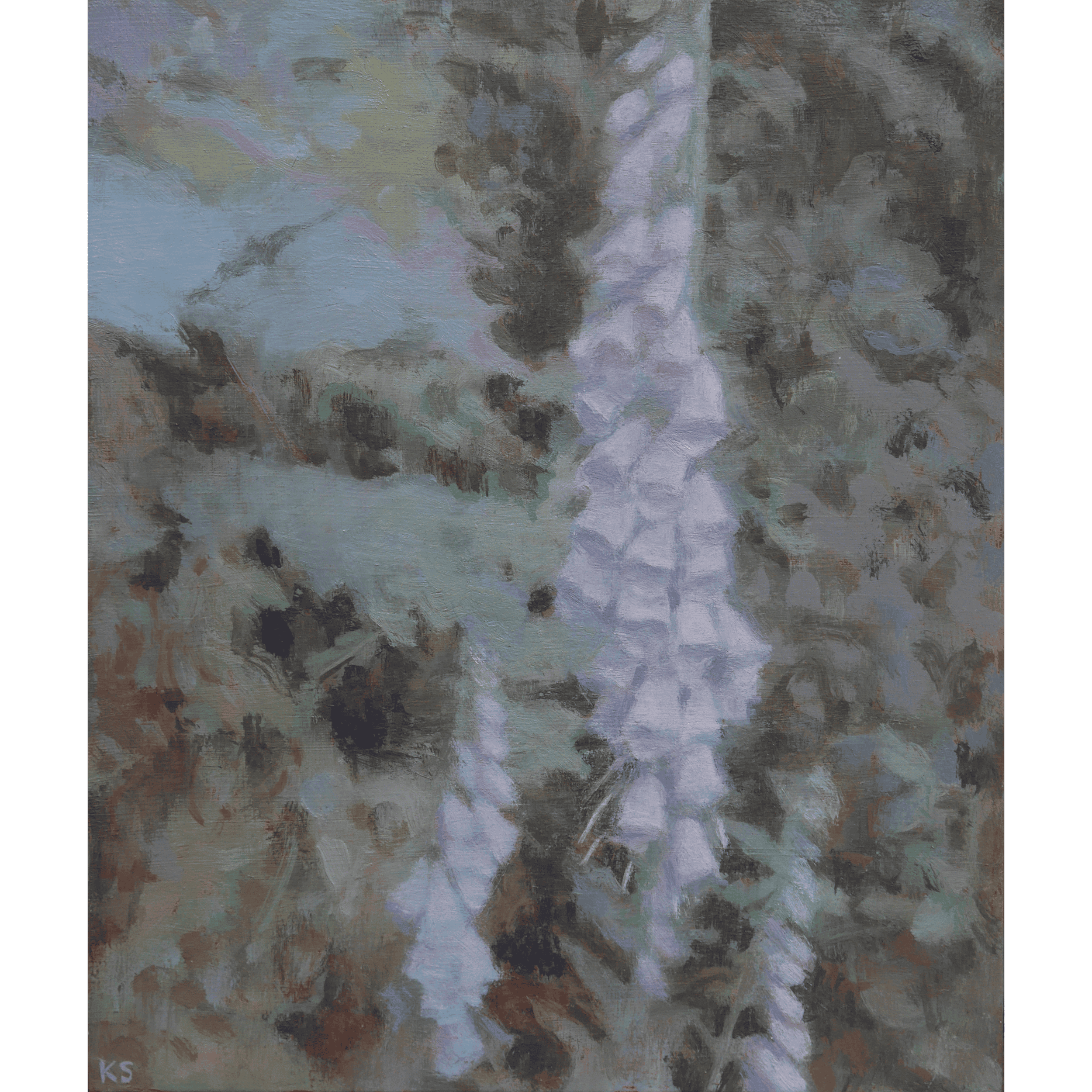 Untitled design - 2026-01-19T163038.193.png