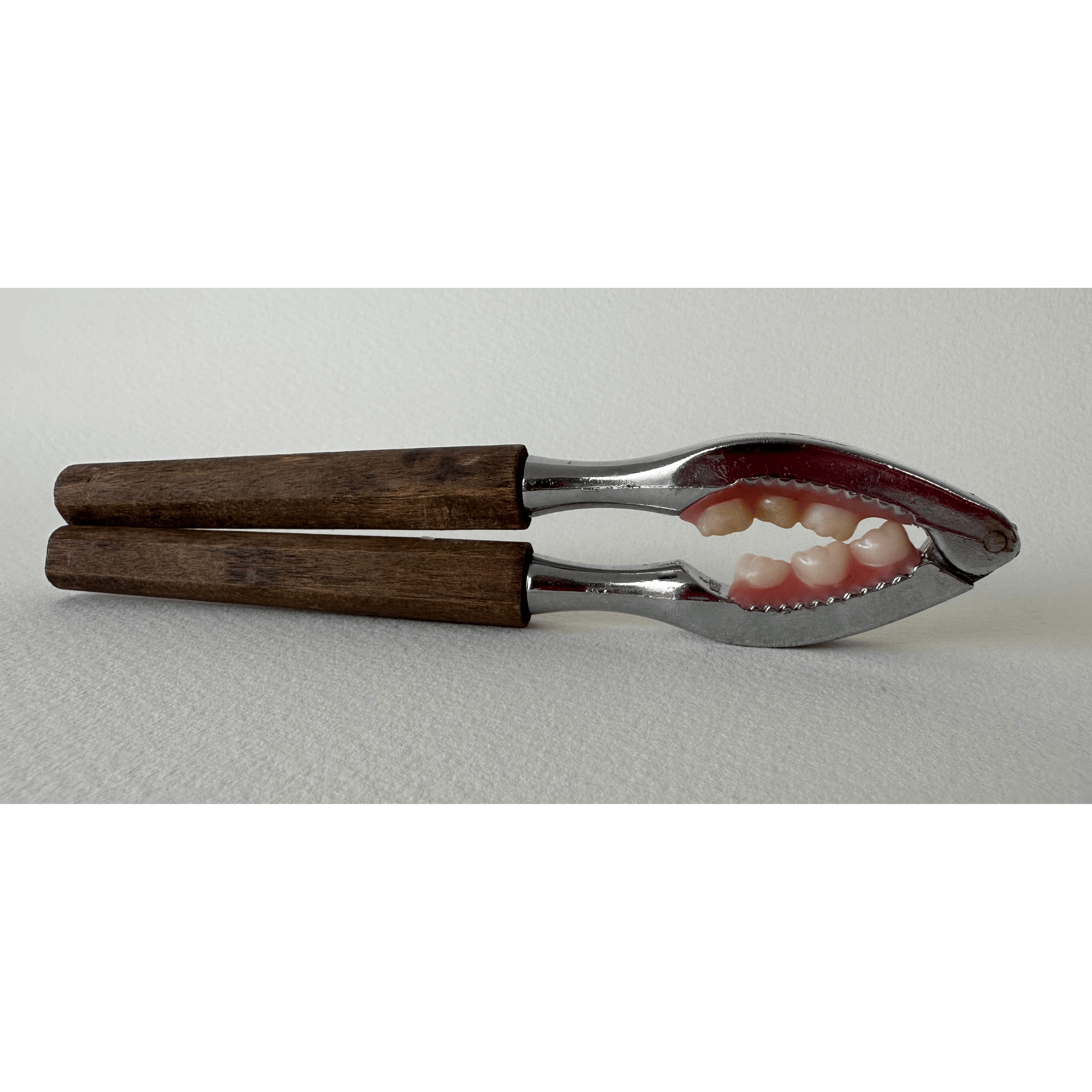 Untitled design - 2026-02-03T163746.130.png