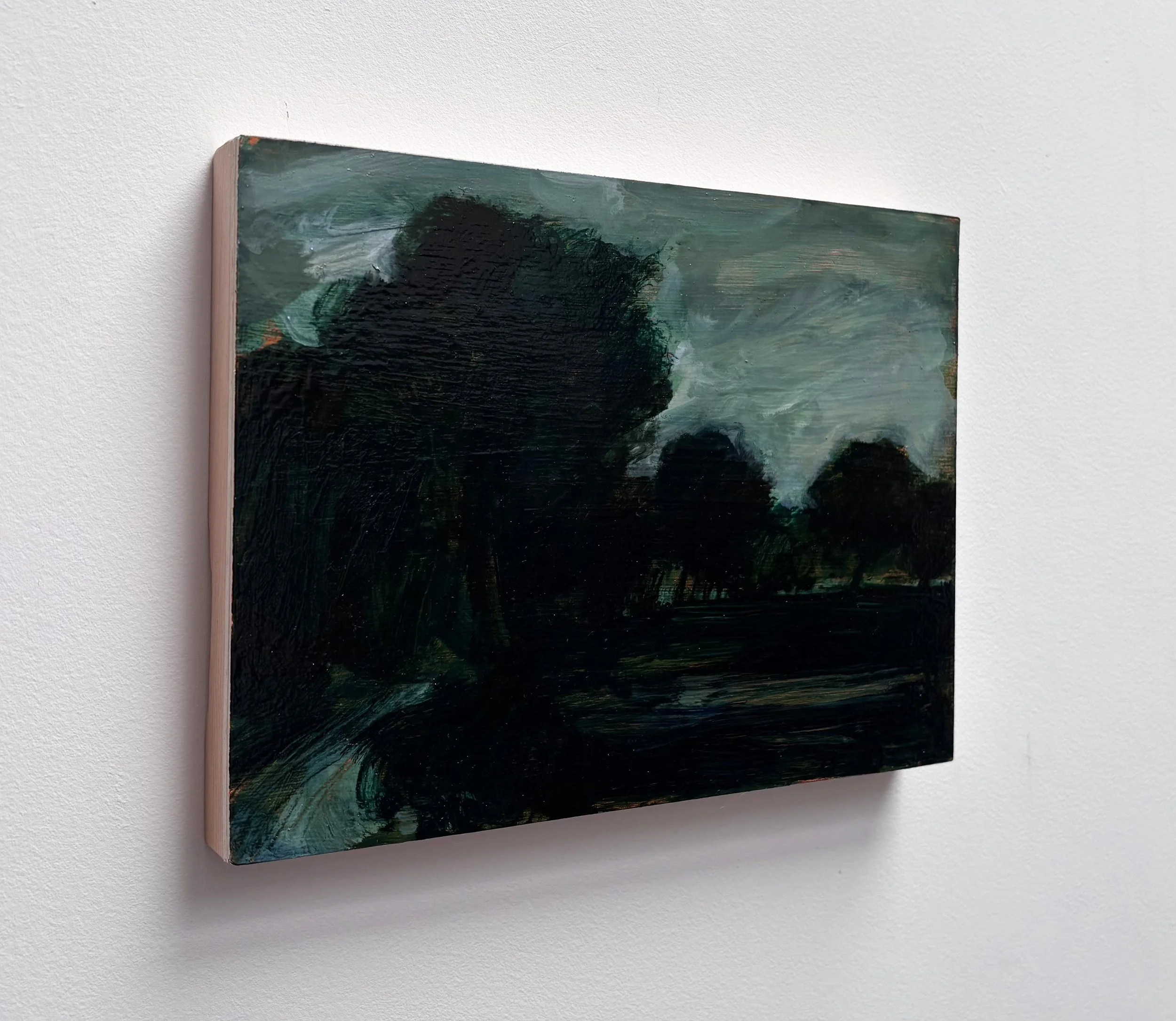 'Late Evening Wooded Landscape' 2026_side view.jpg