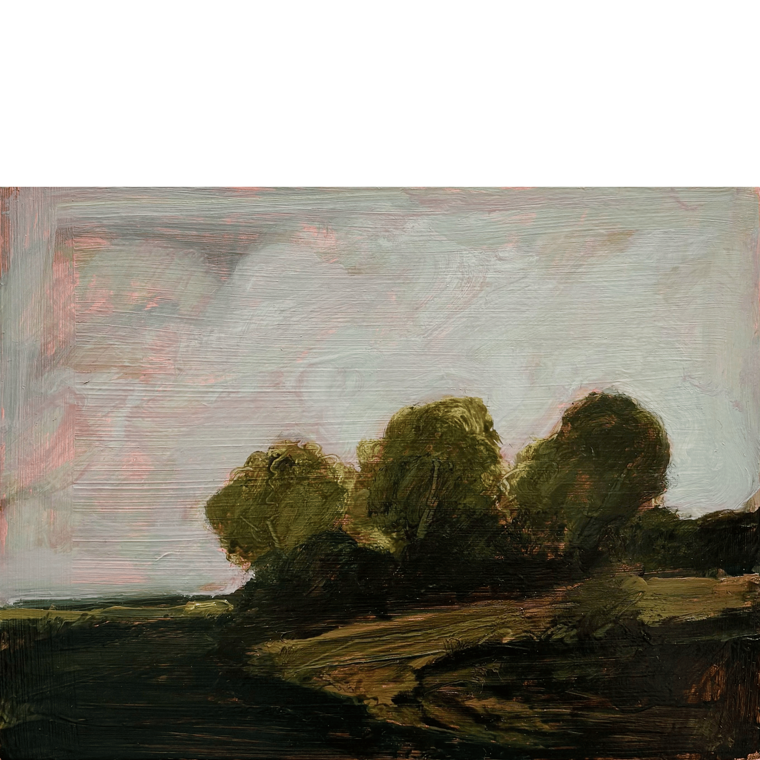 Tereza Horáček, 'Three Trees, Pink Skies'