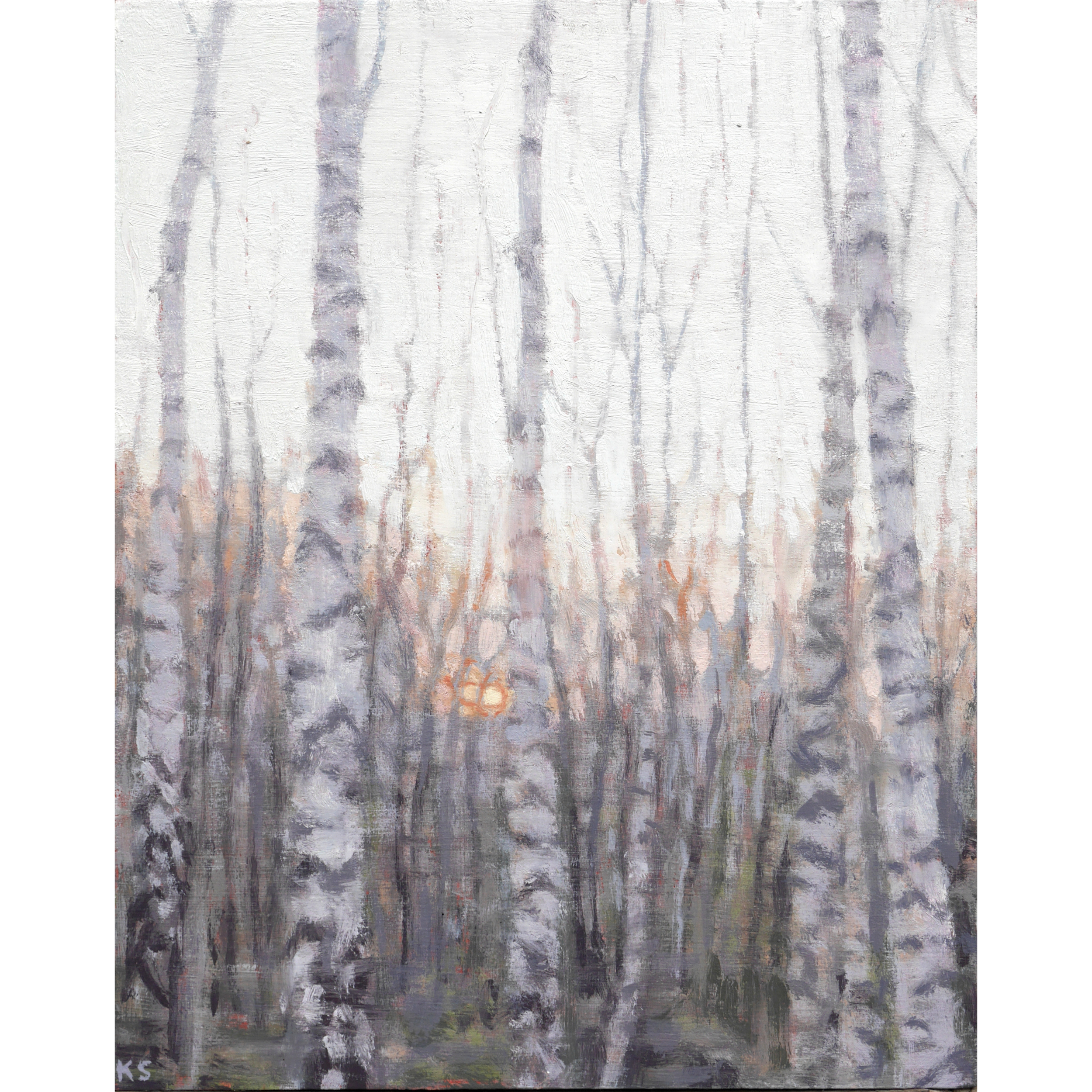 Kate Sherman, 'Birch, sunrise'