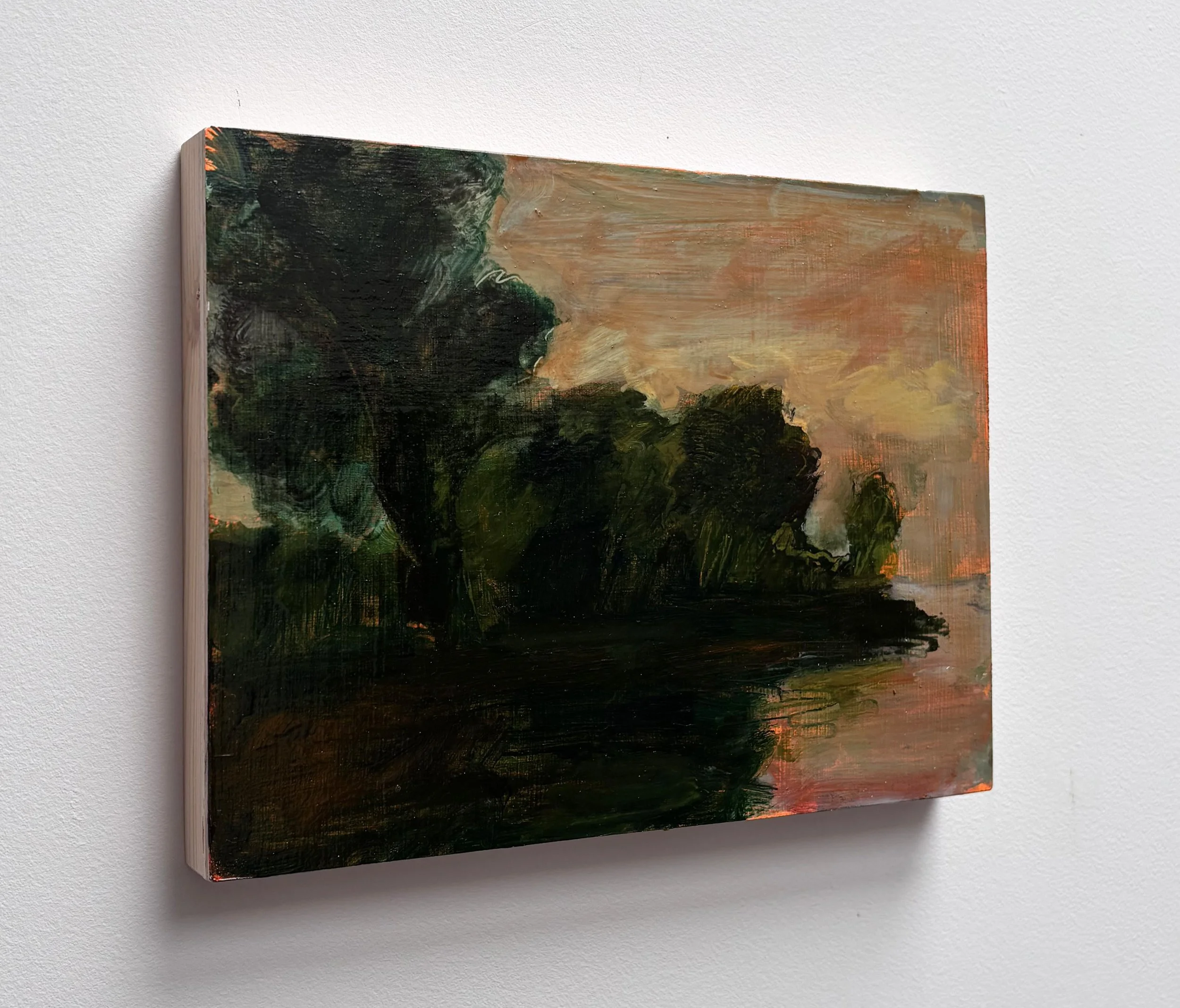 'River Landscape, Pink Skies' 2026_side view.jpg