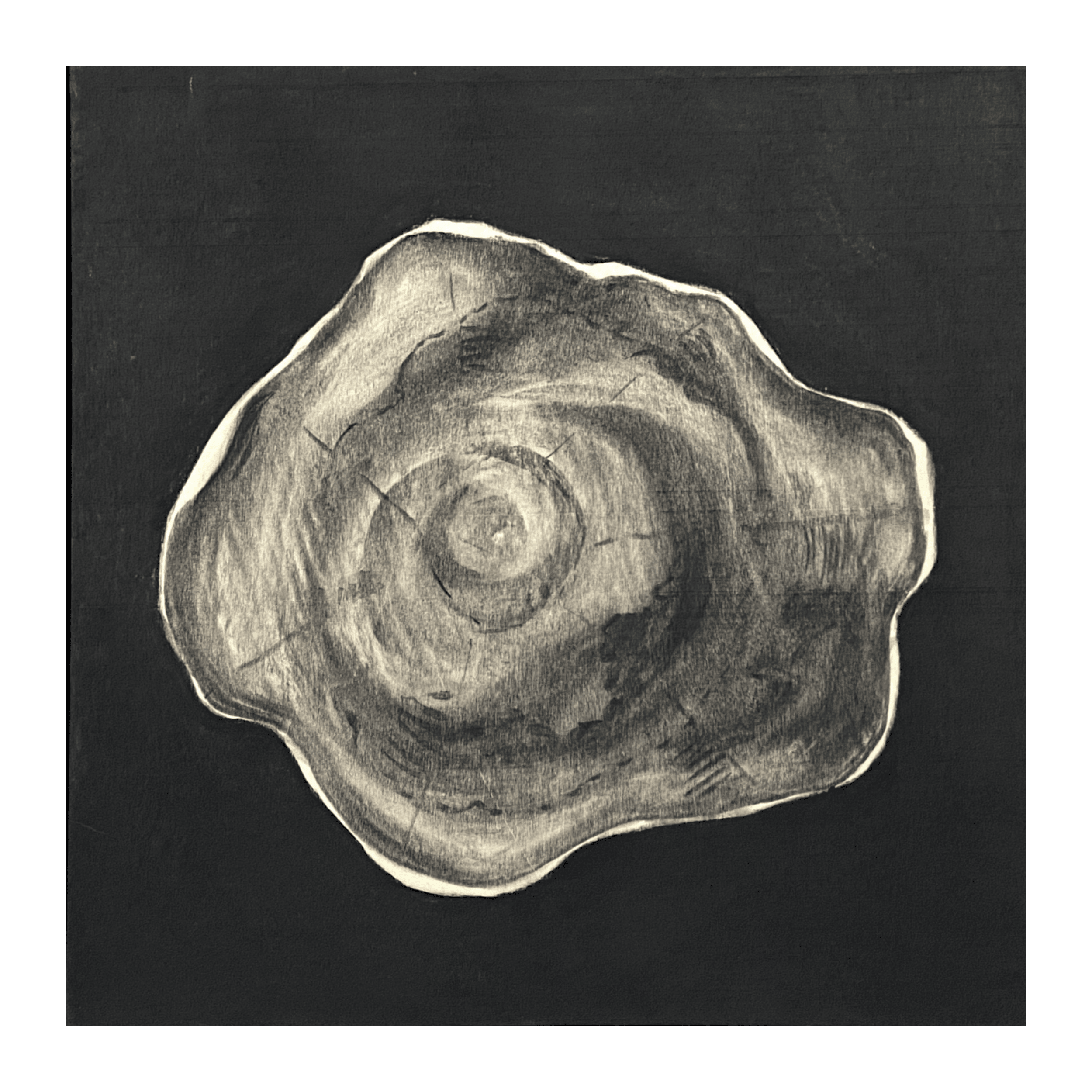 Untitled design - 2026-02-03T091426.789.png