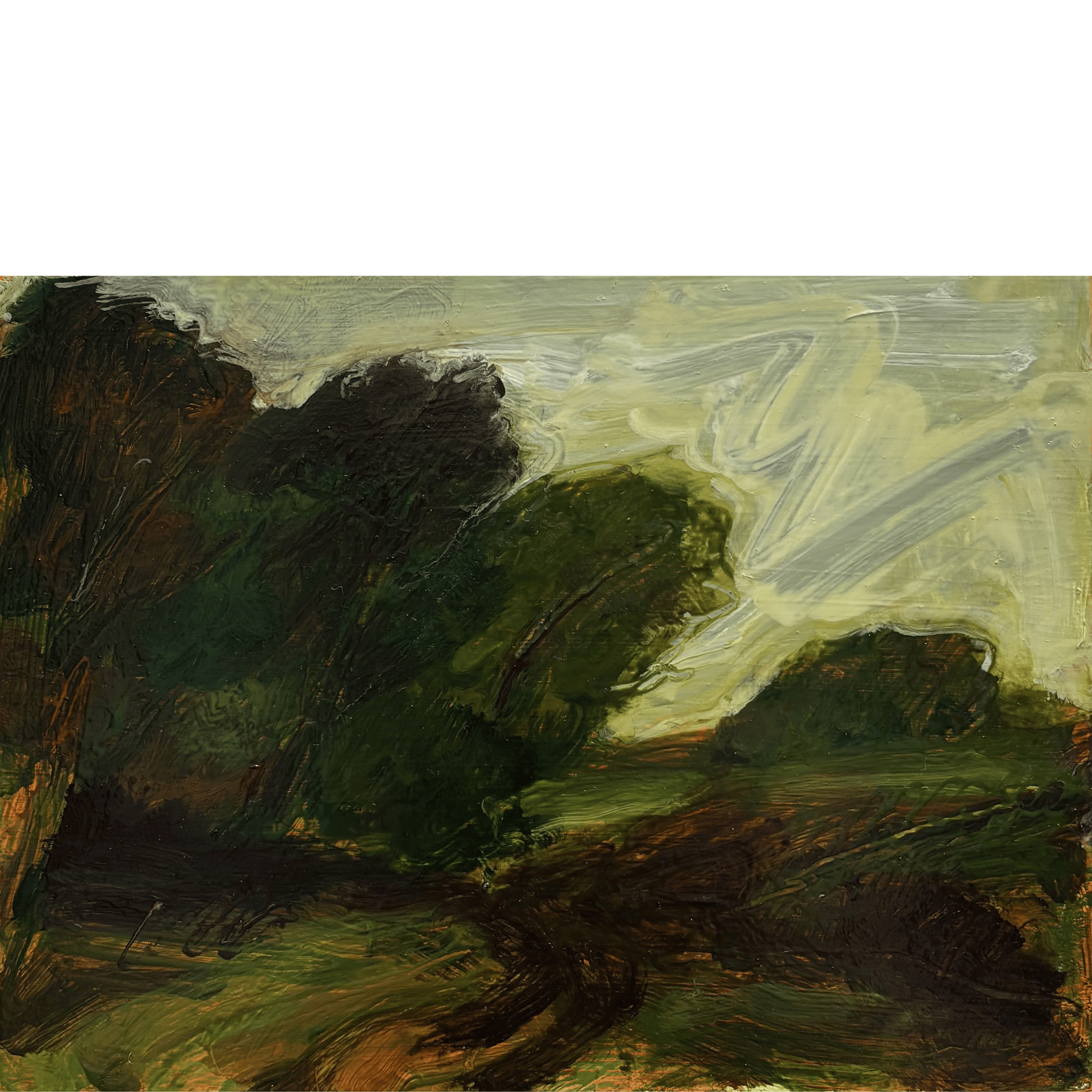 Tereza Horáček, 'Woodland Path'