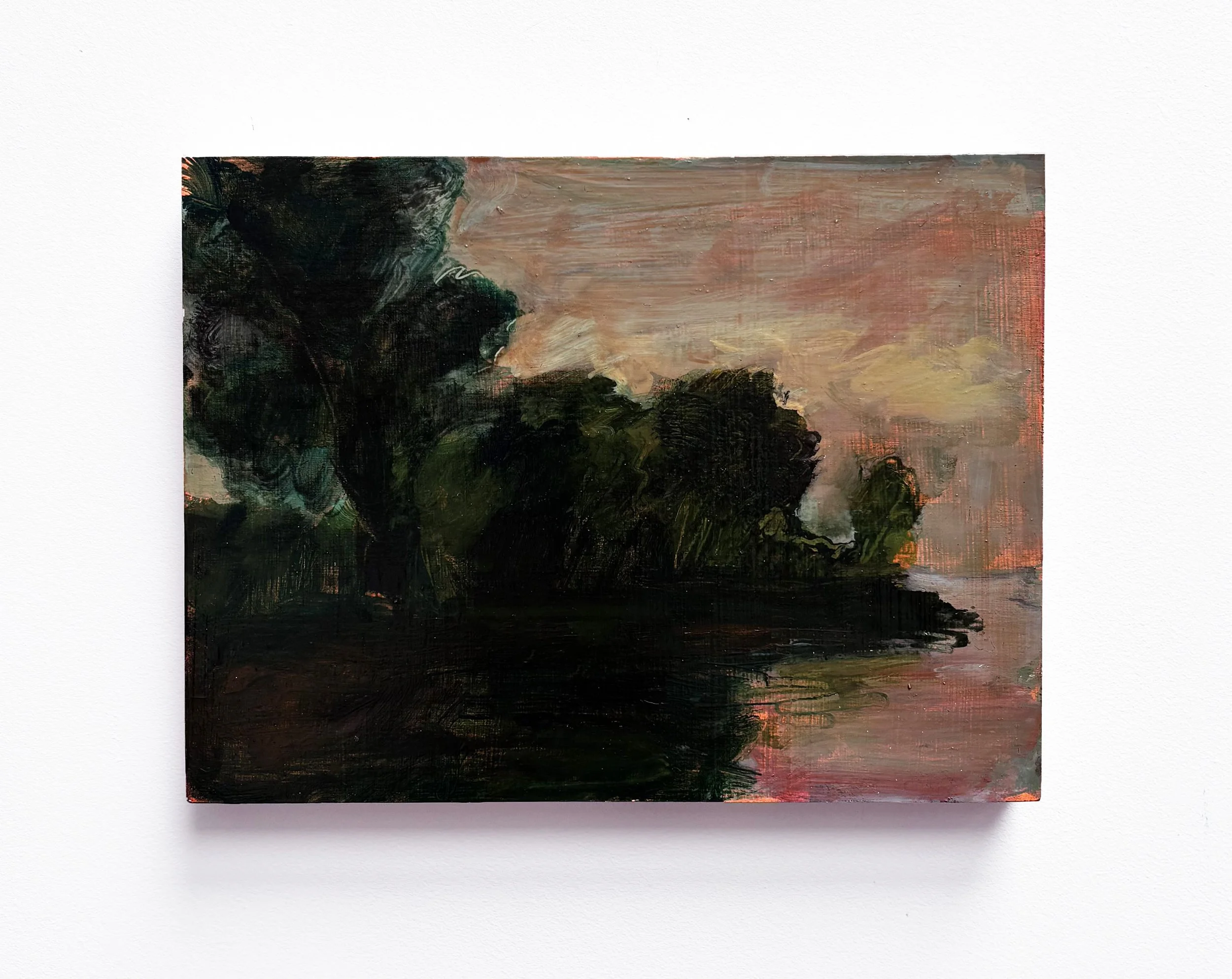 'River Landscape, Pink Skies' 2026.jpg
