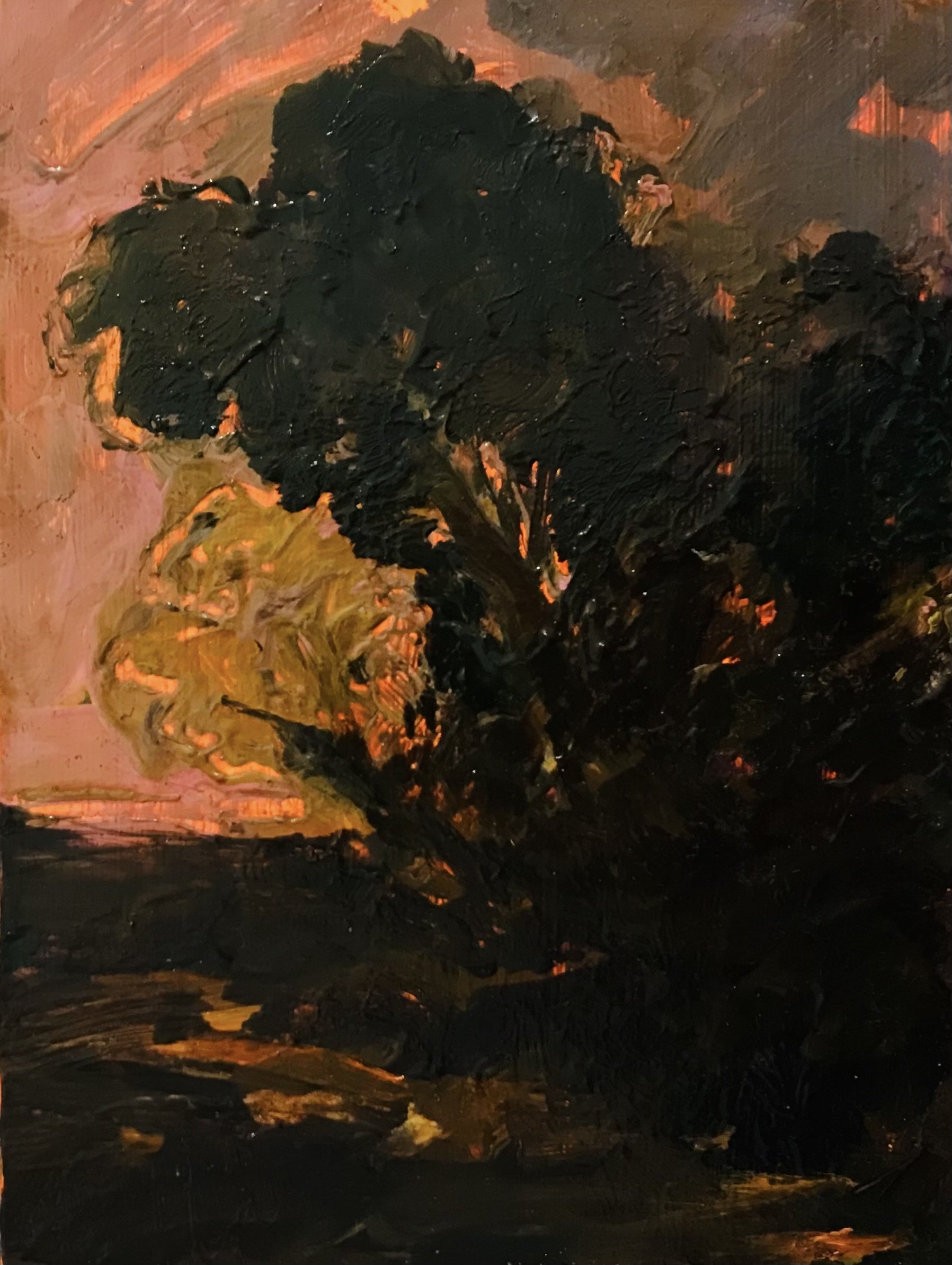 Tereza Horáček_HW_‘Pink Skies, Evening Landscape’, 2024.jpeg
