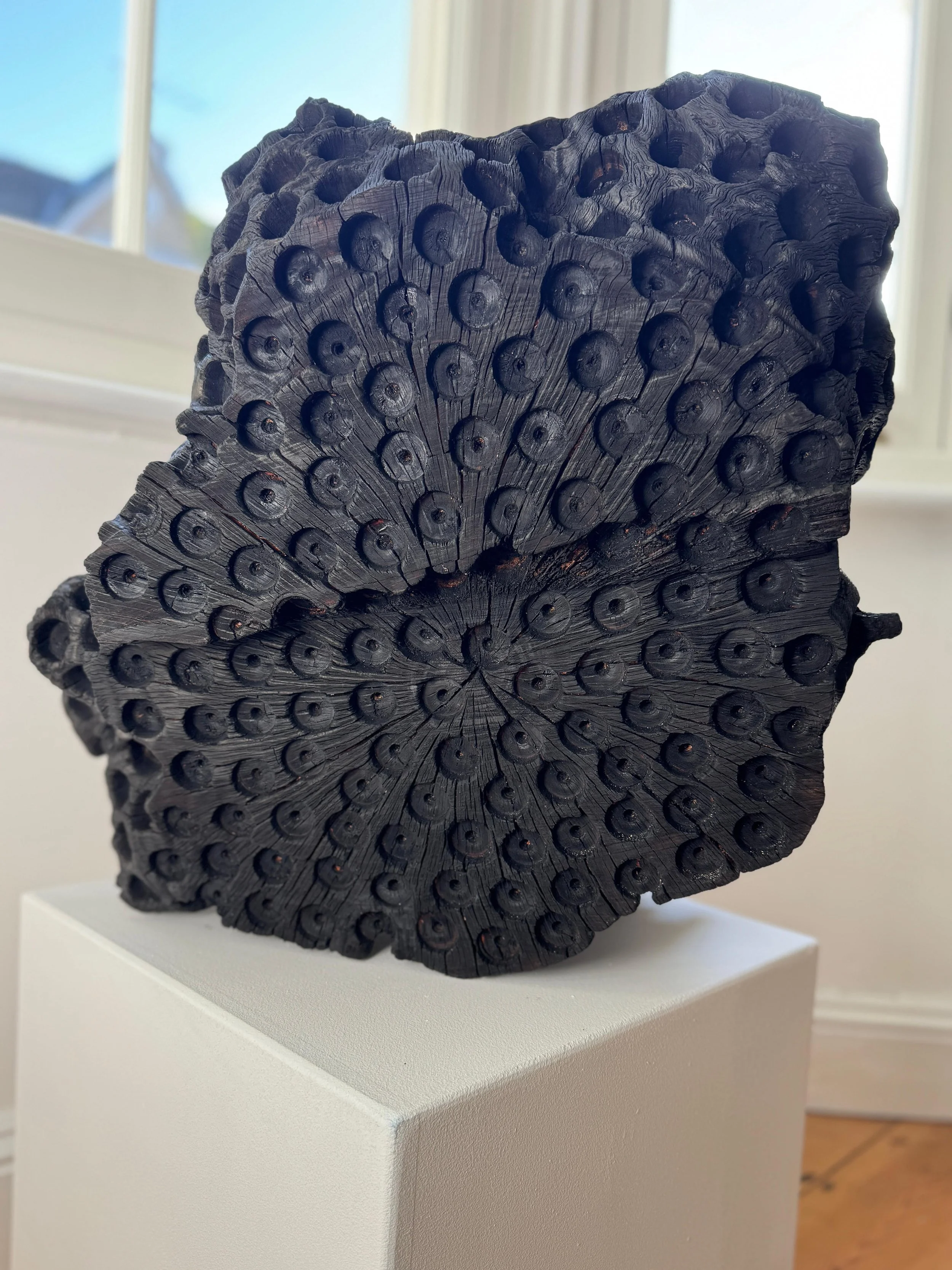 ‘Dryad’, 2025. Charred Ilex, 37 x 46 × 31 cm approx. £3,800