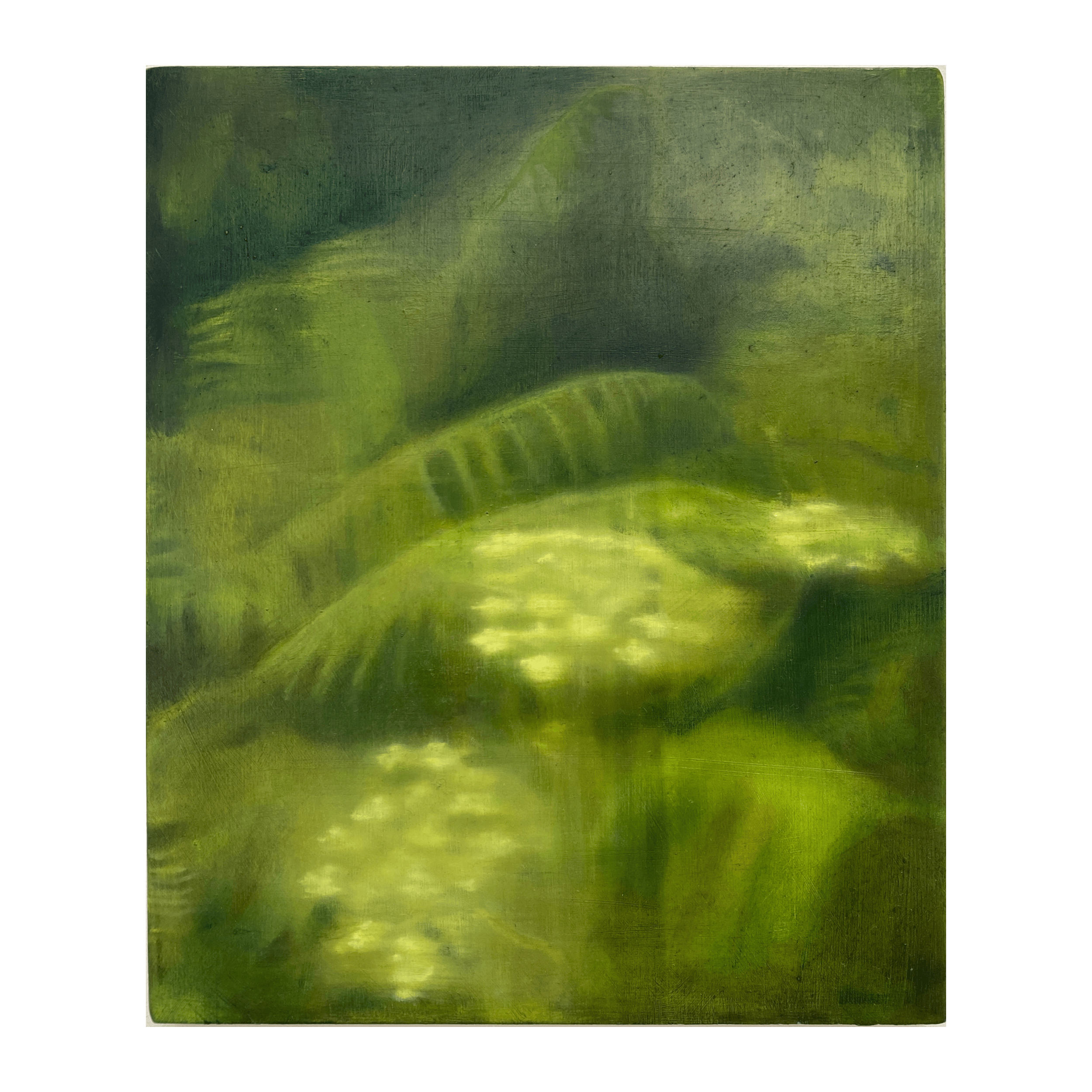 Untitled design - 2026-01-18T144013.861.png