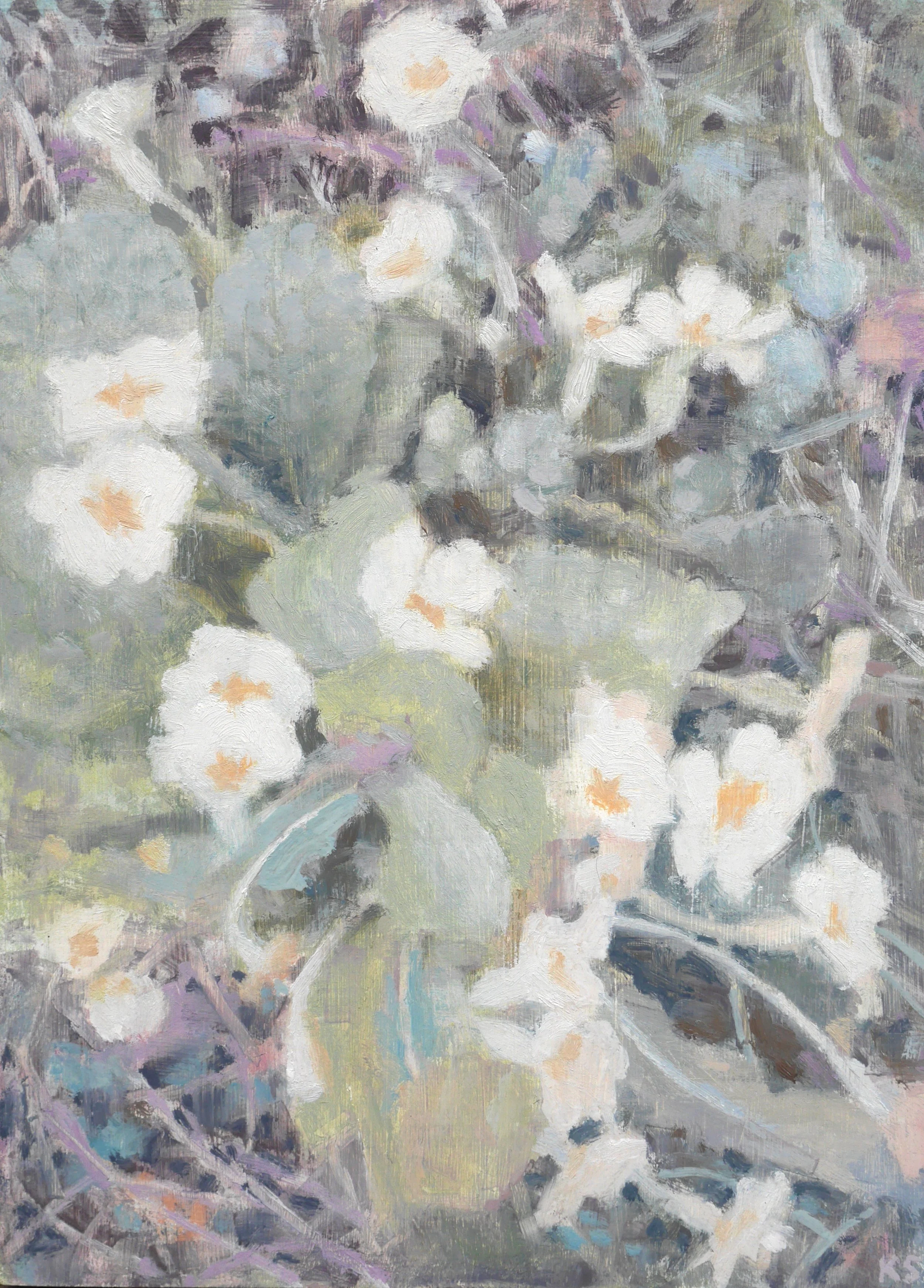 Primrose, day (2) (1).JPG