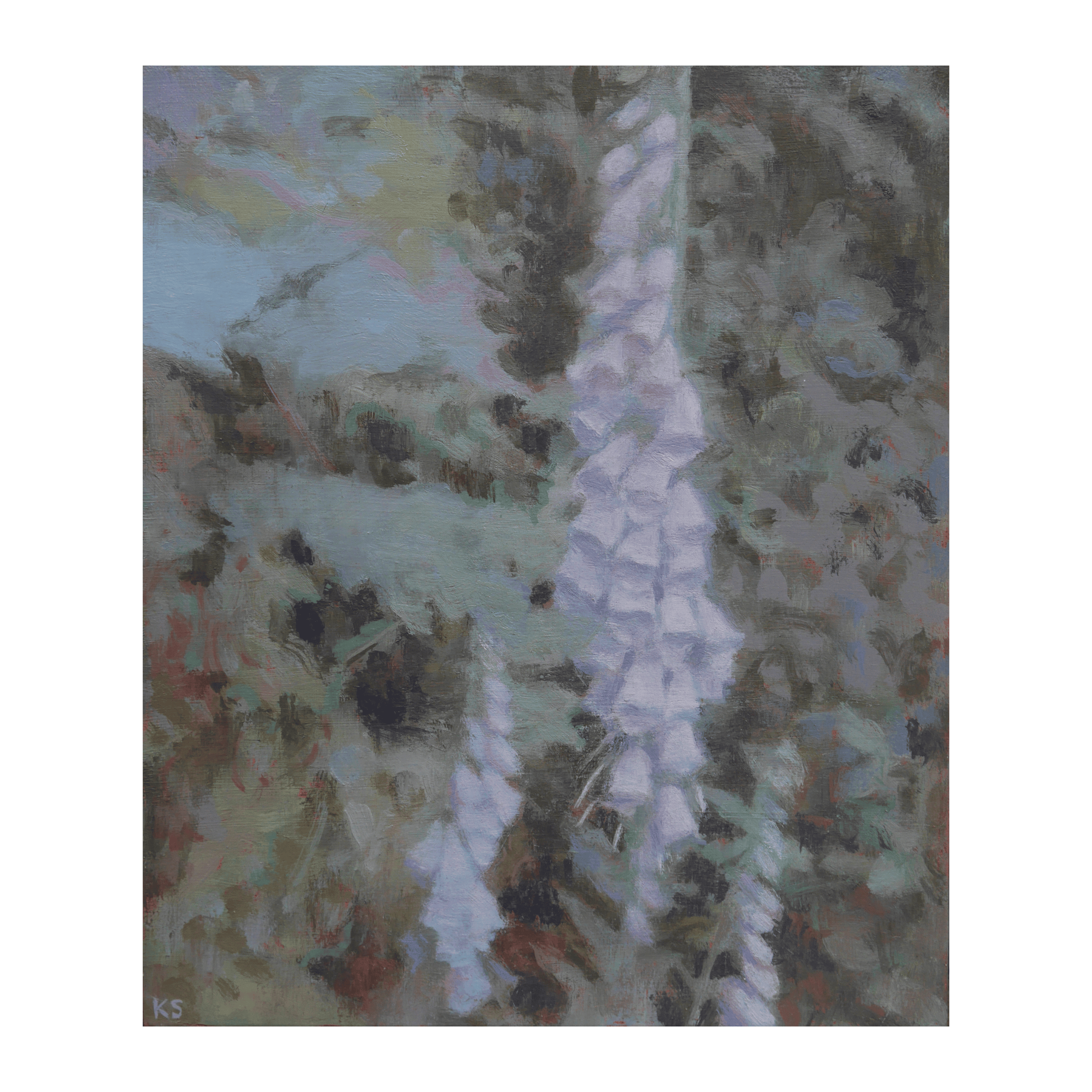 Untitled design - 2026-01-19T163013.232.png