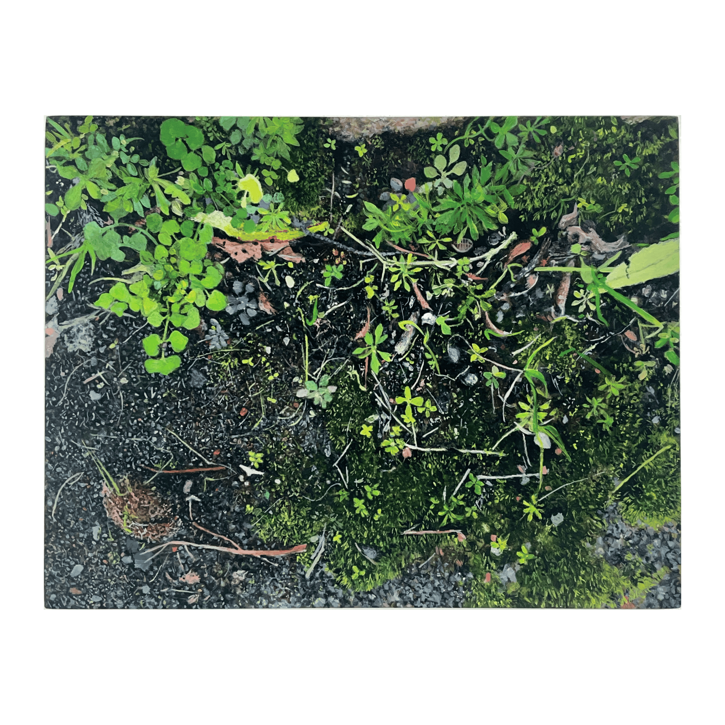 Untitled design - 2026-01-18T204839.973.png