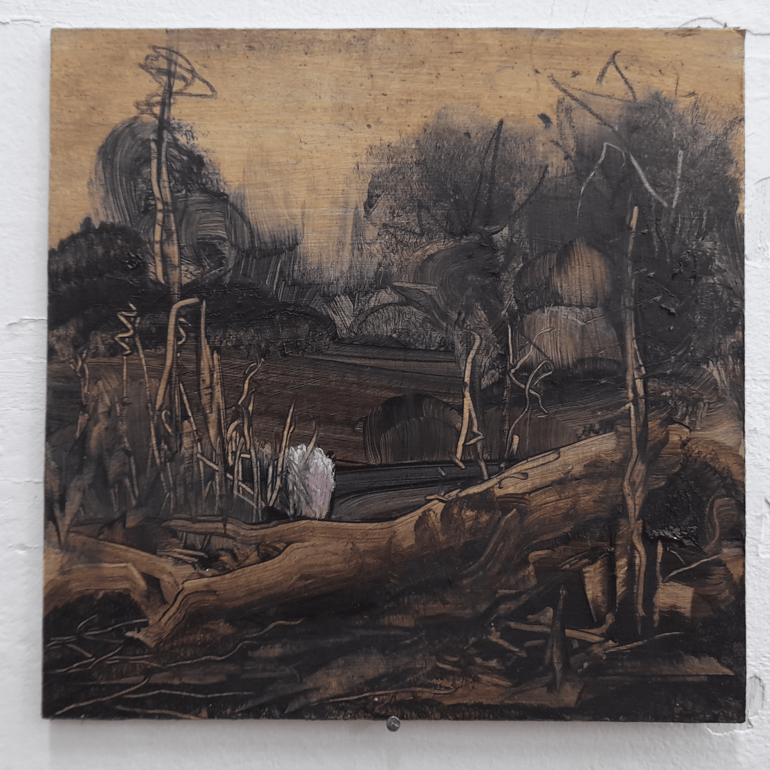 Untitled design - 2026-02-03T180911.495.png