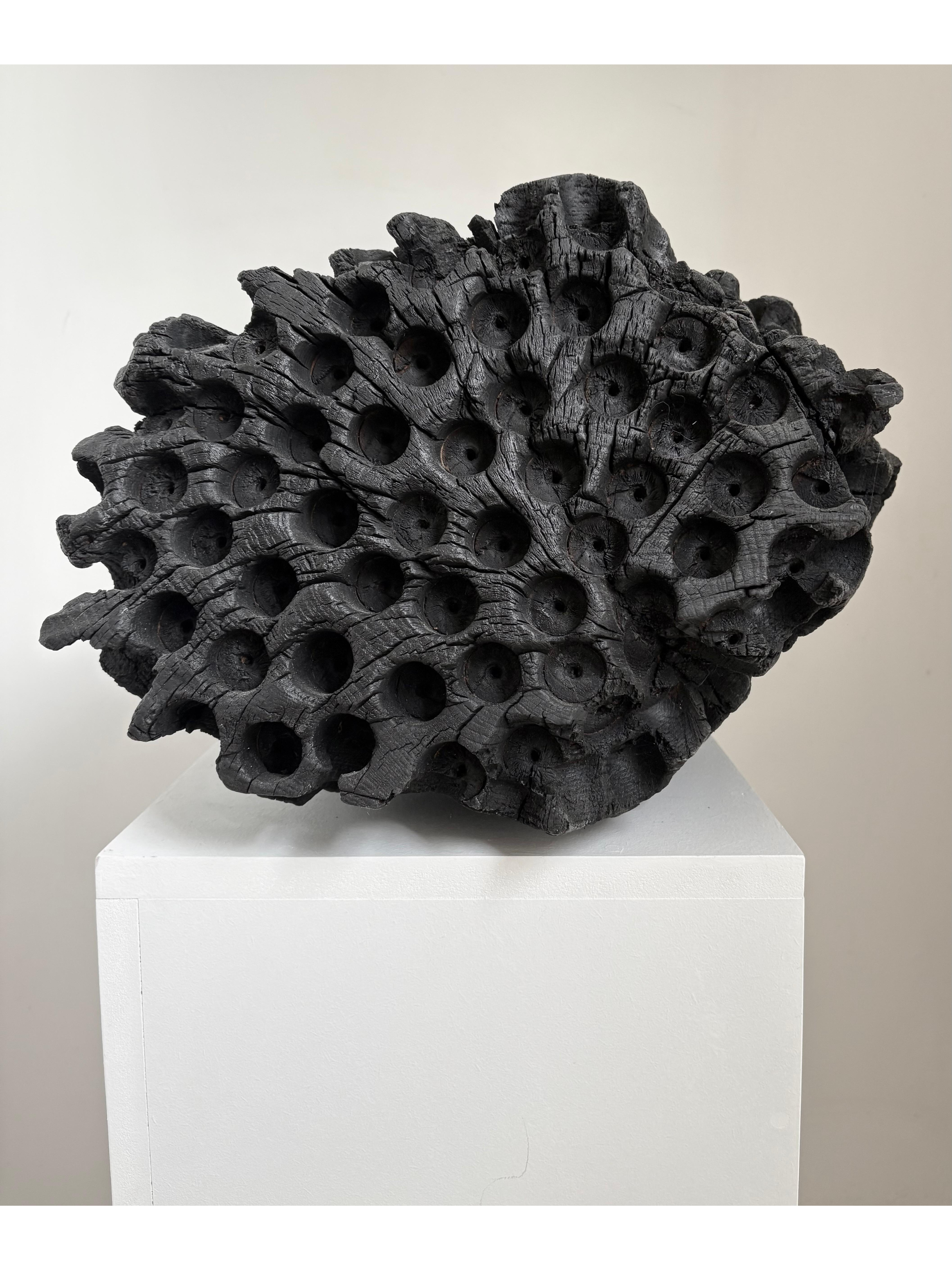 ‘Birdham Oak’, 2025. Charred English Oak | 37 x 46 × 31cm approx.