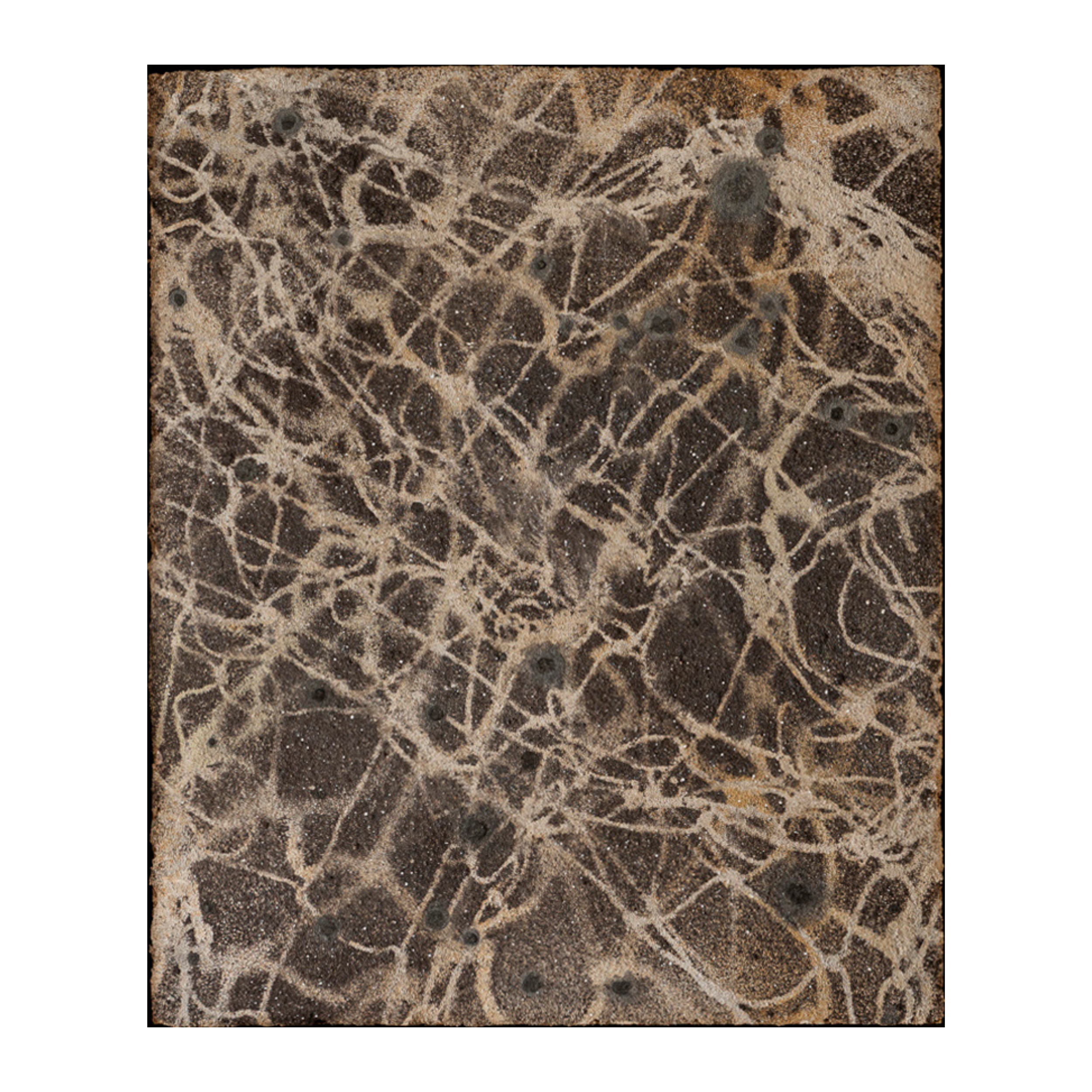 Untitled design - 2026-01-18T184655.174.png