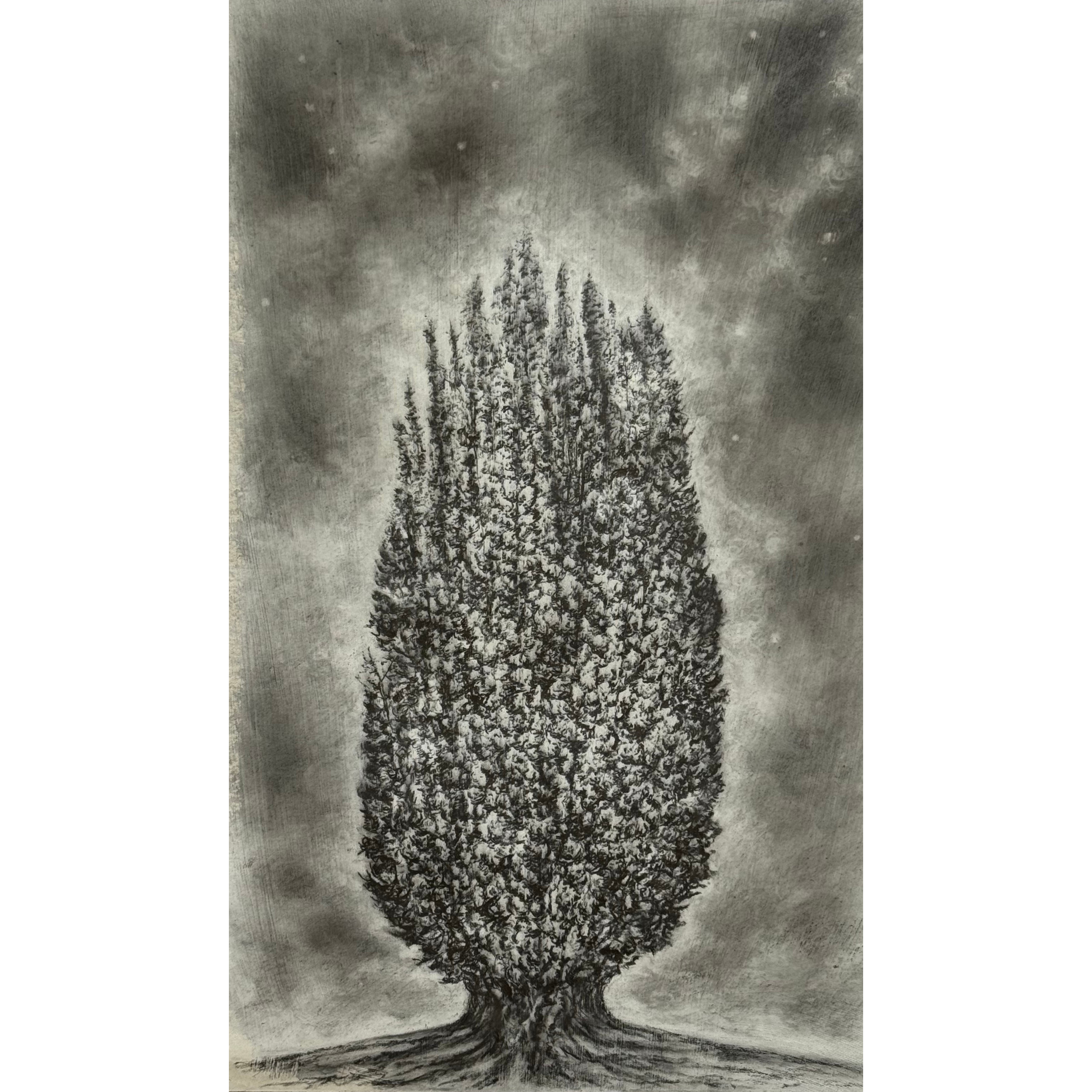 Heather McAteer, ‘Colossus (Irish yew)’