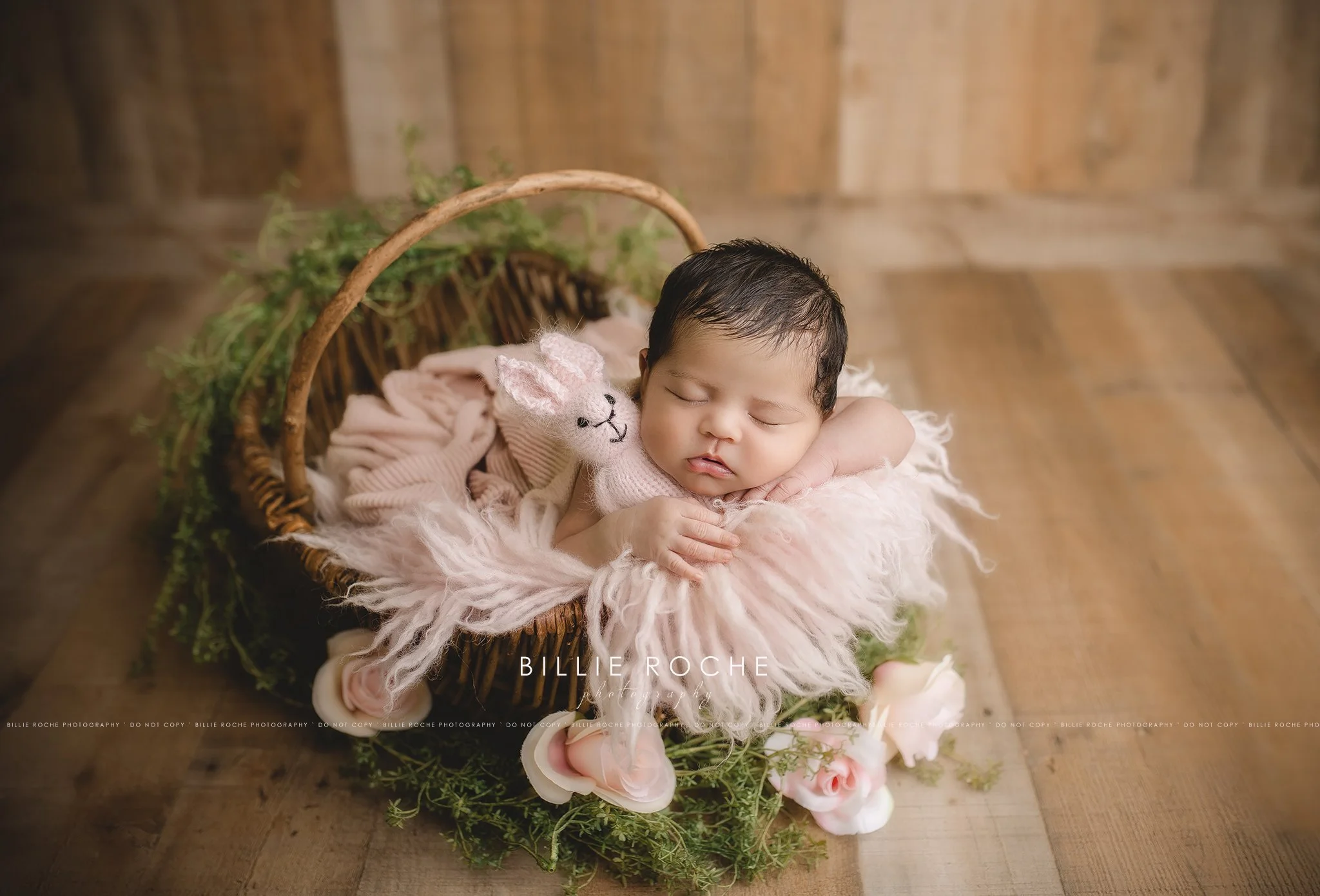 Houston Texas Newborn Photographer