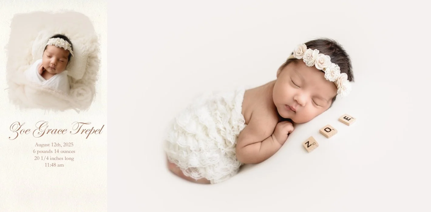 Zoe’s Custom Album {Houston Texas Newborn Photographer}