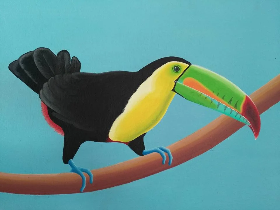 tucan.jpeg