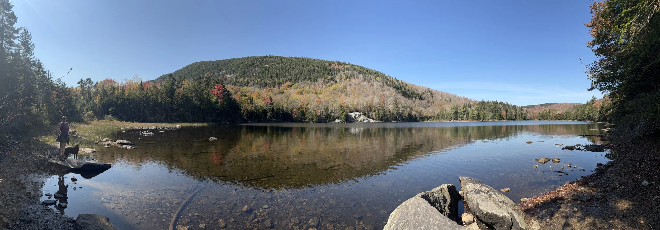 A lake with calm water reflecting surrounding trees and a mountain in the background, with a person and dog standing on the lakeshore.