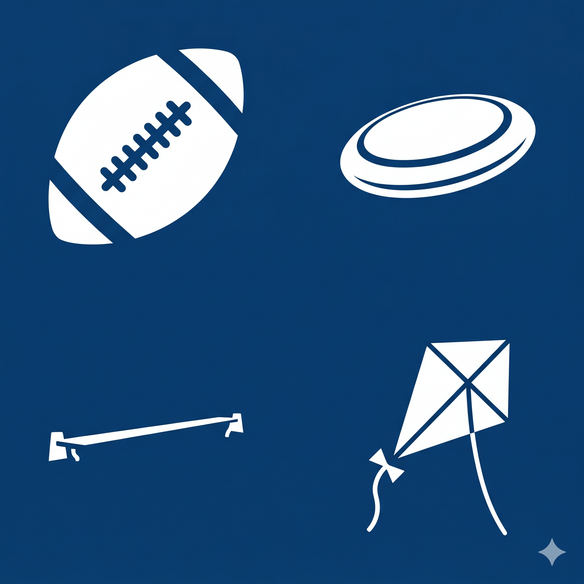 Sporting Equpment. Frisbee, football, kite, slackline, etc.