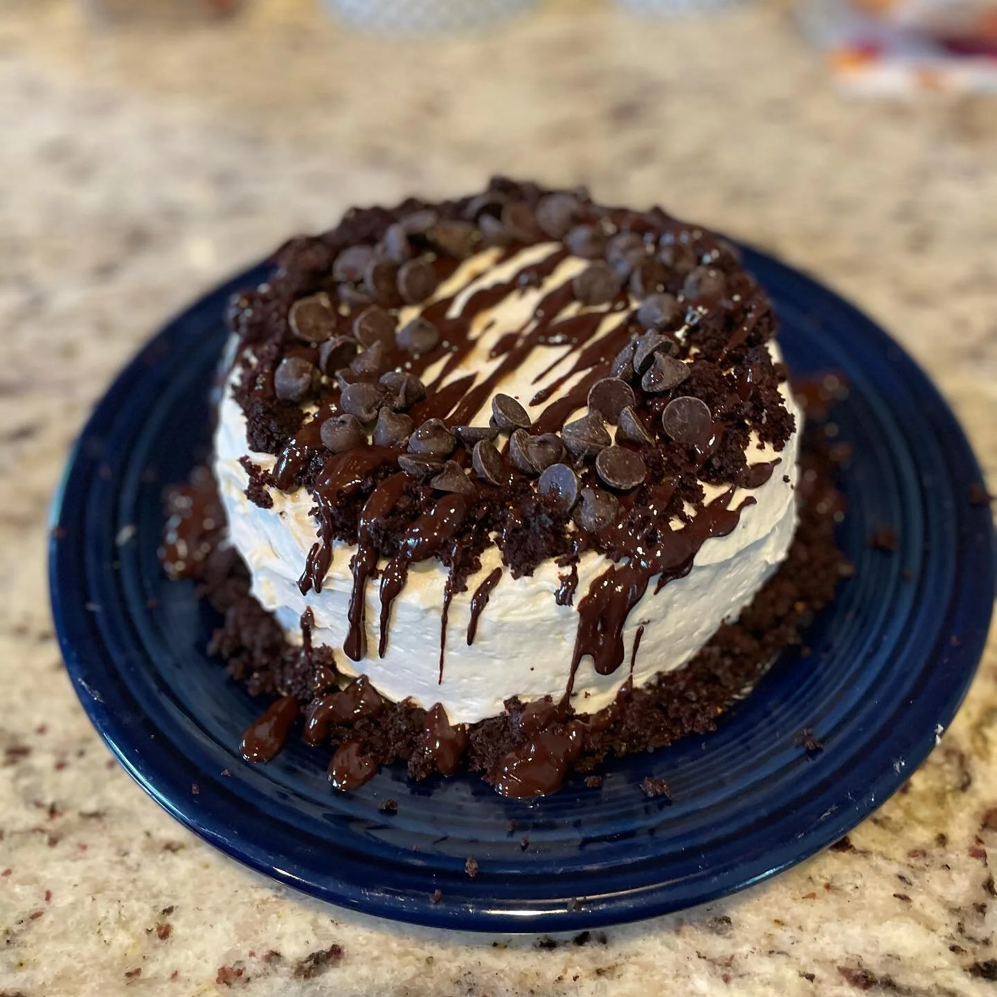 Siblings with back to back birthdays get back to back cakes!!! Mint Chocolate Chip doesn&rsquo;t just come in ice cream, it comes in cake now too! Happy Birthday @josh.plotnik!!