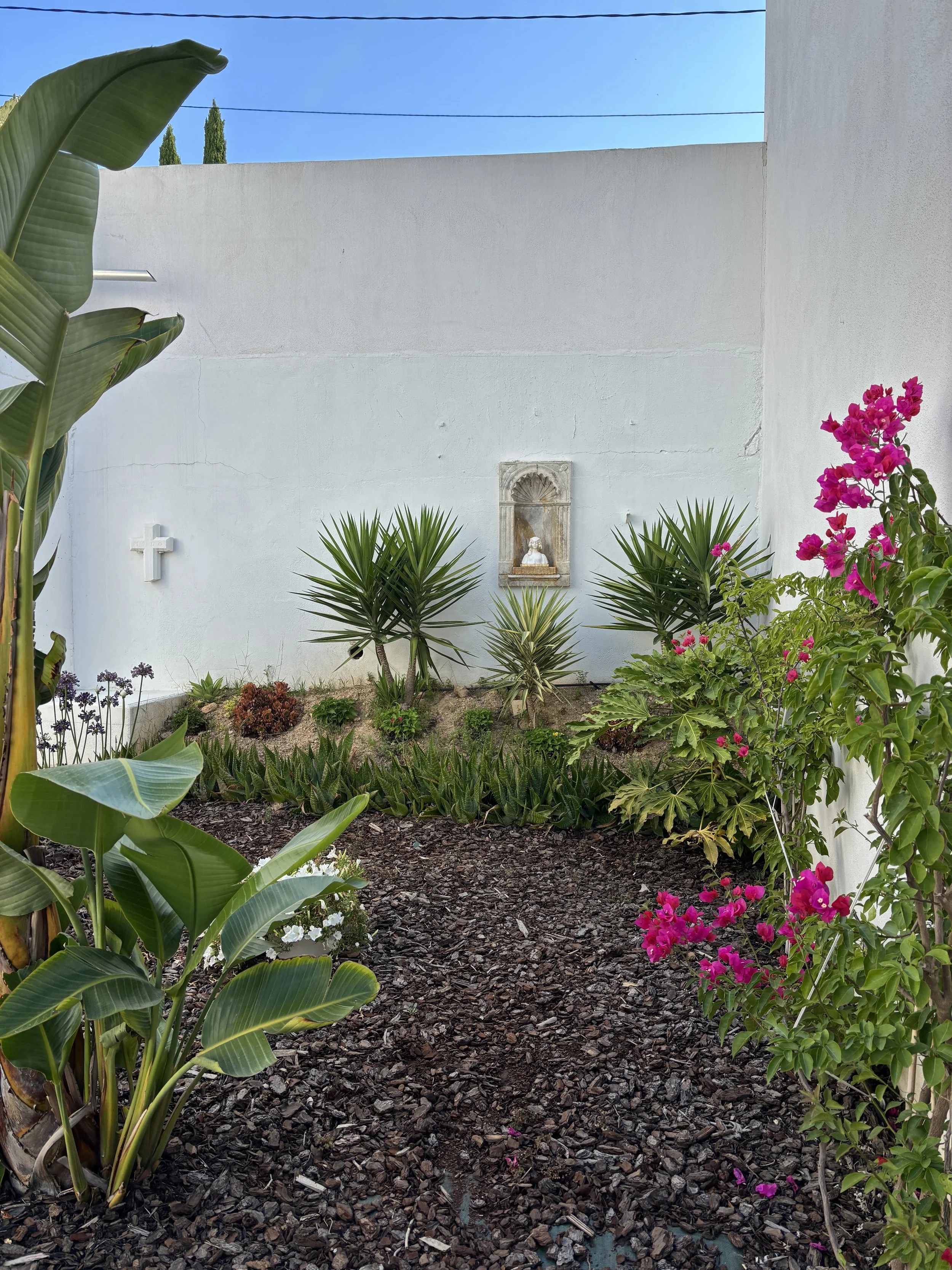 BZS_Jardin_08.JPG