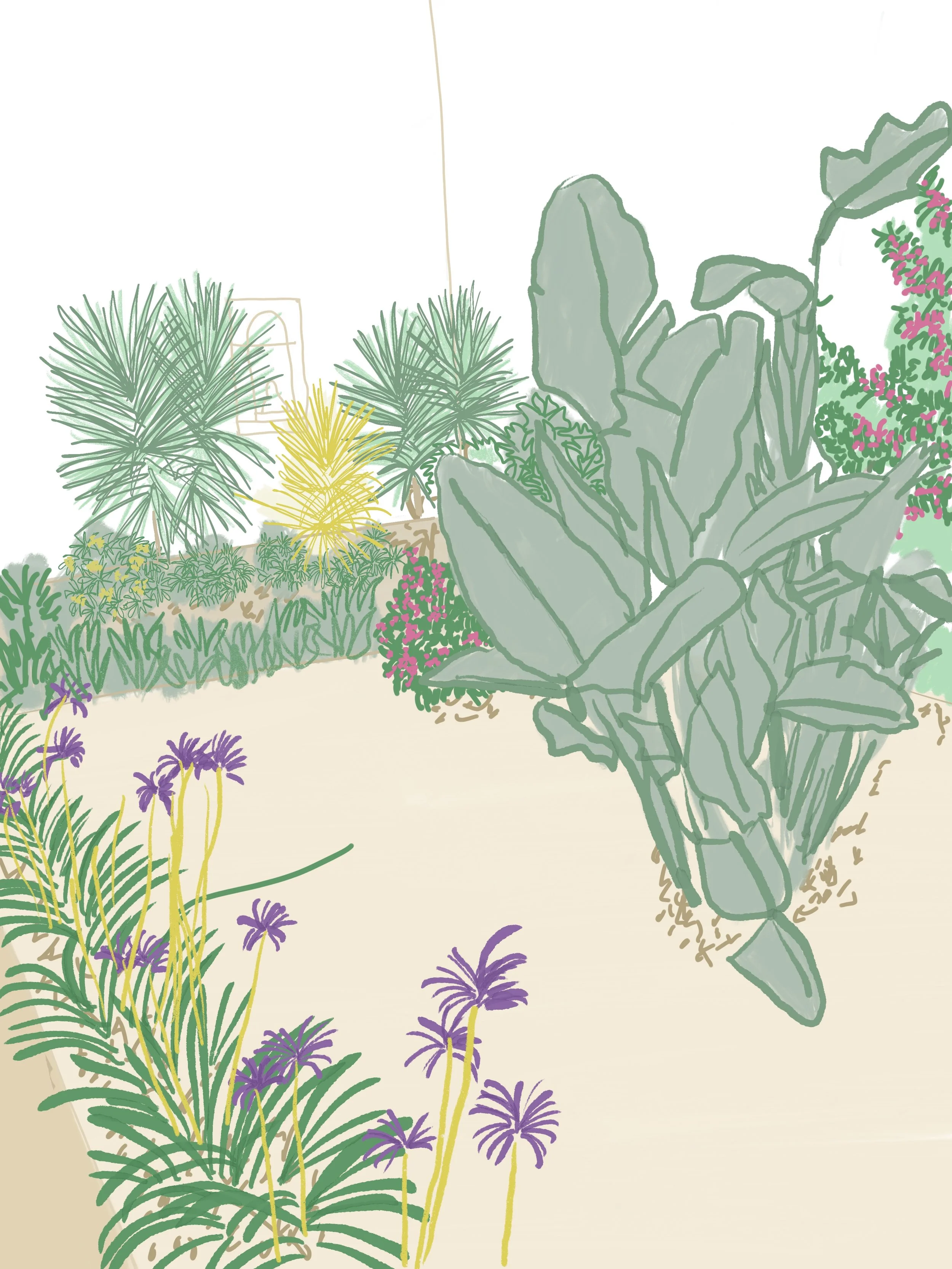 LS JARDIN_Dessin 01.jpg