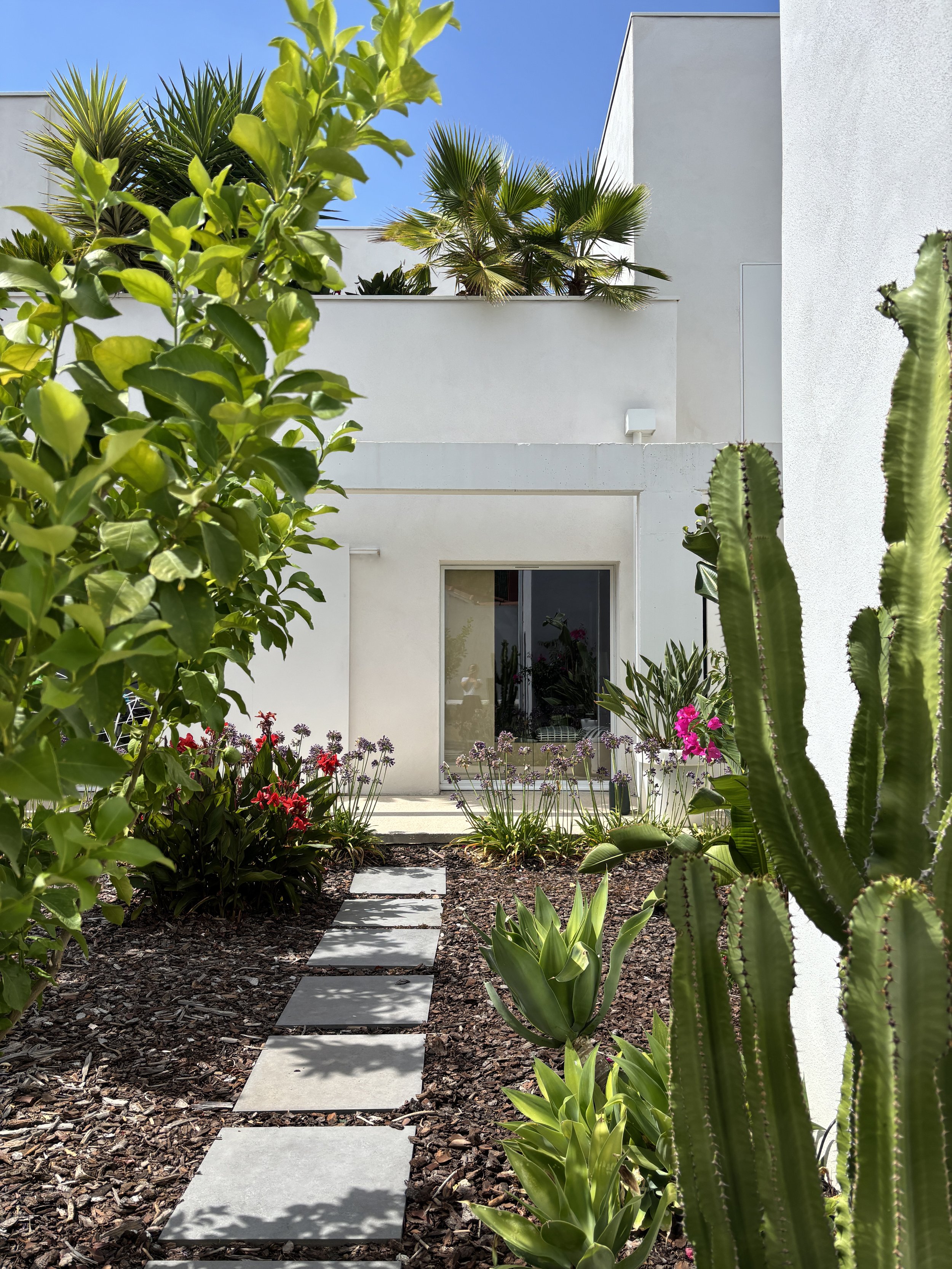 BZS_Jardin_26-05.JPG