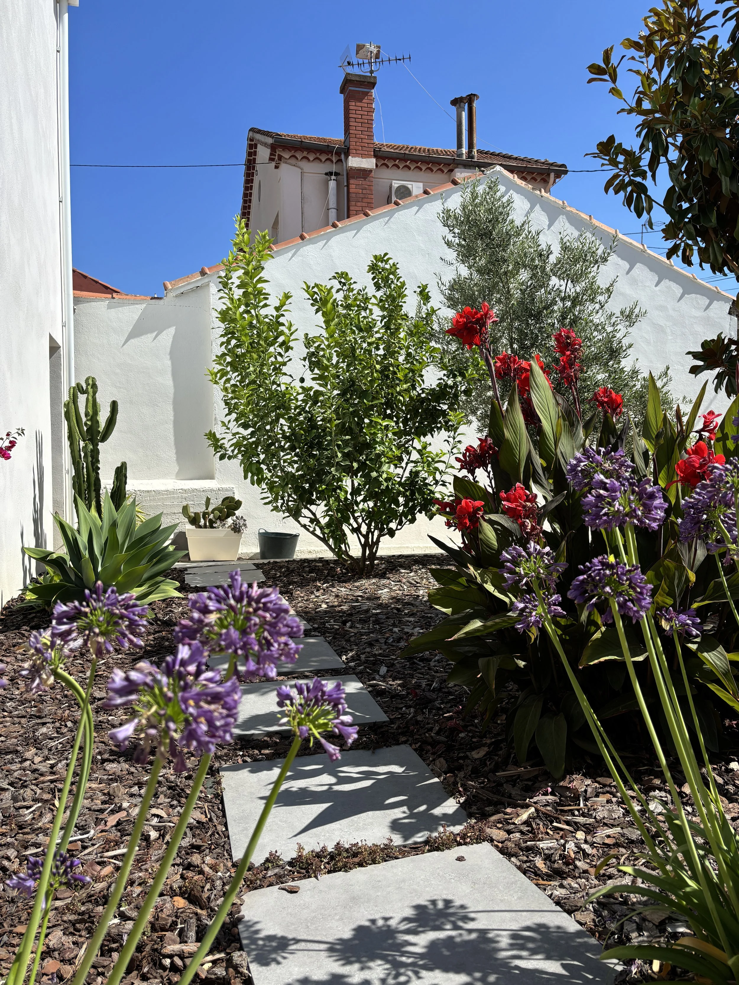 BZS_Jardin_05.JPG