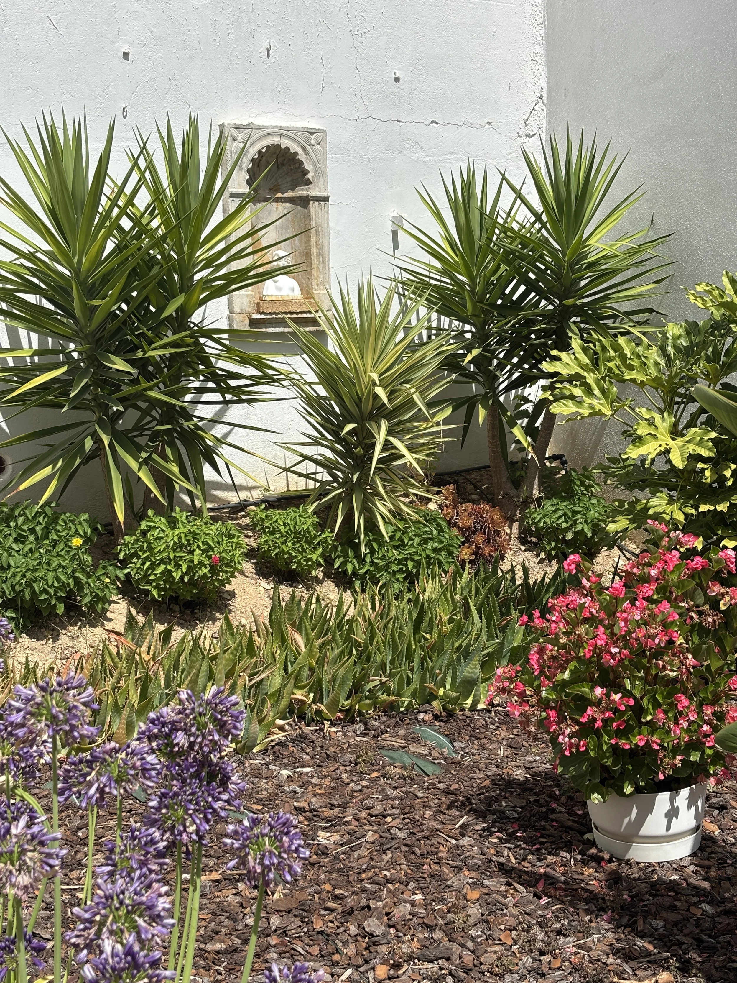 BZS_Jardin_26-03.JPG