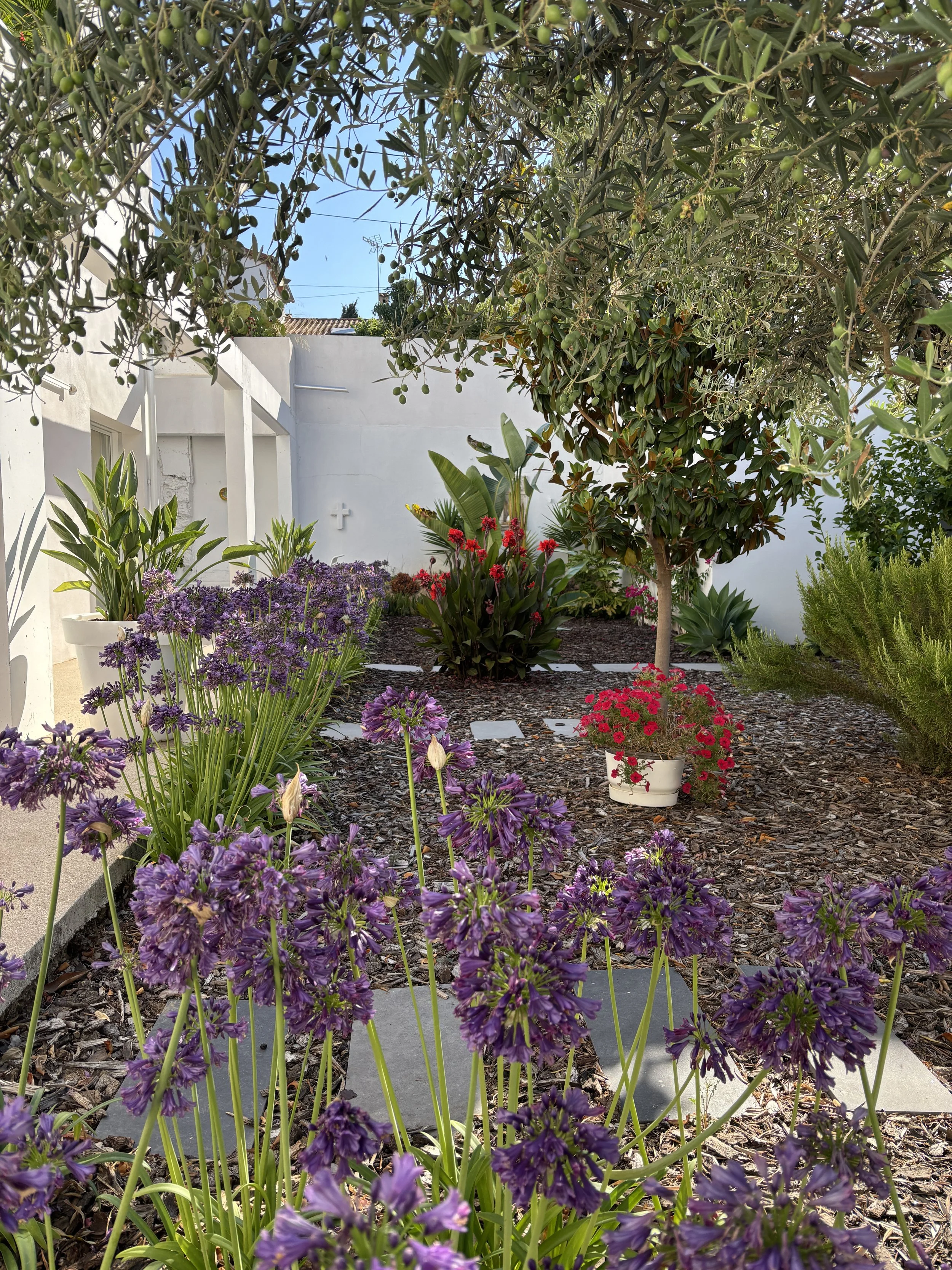 BZS_Jardin_02.JPG