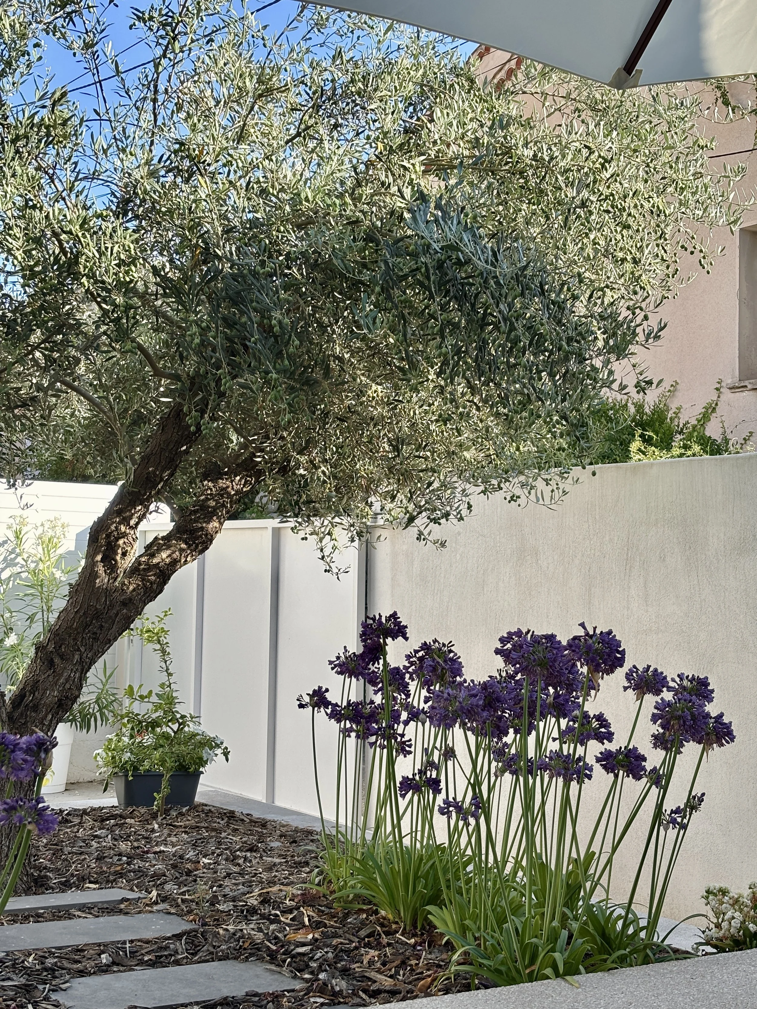 BZS_Jardin_06.jpg