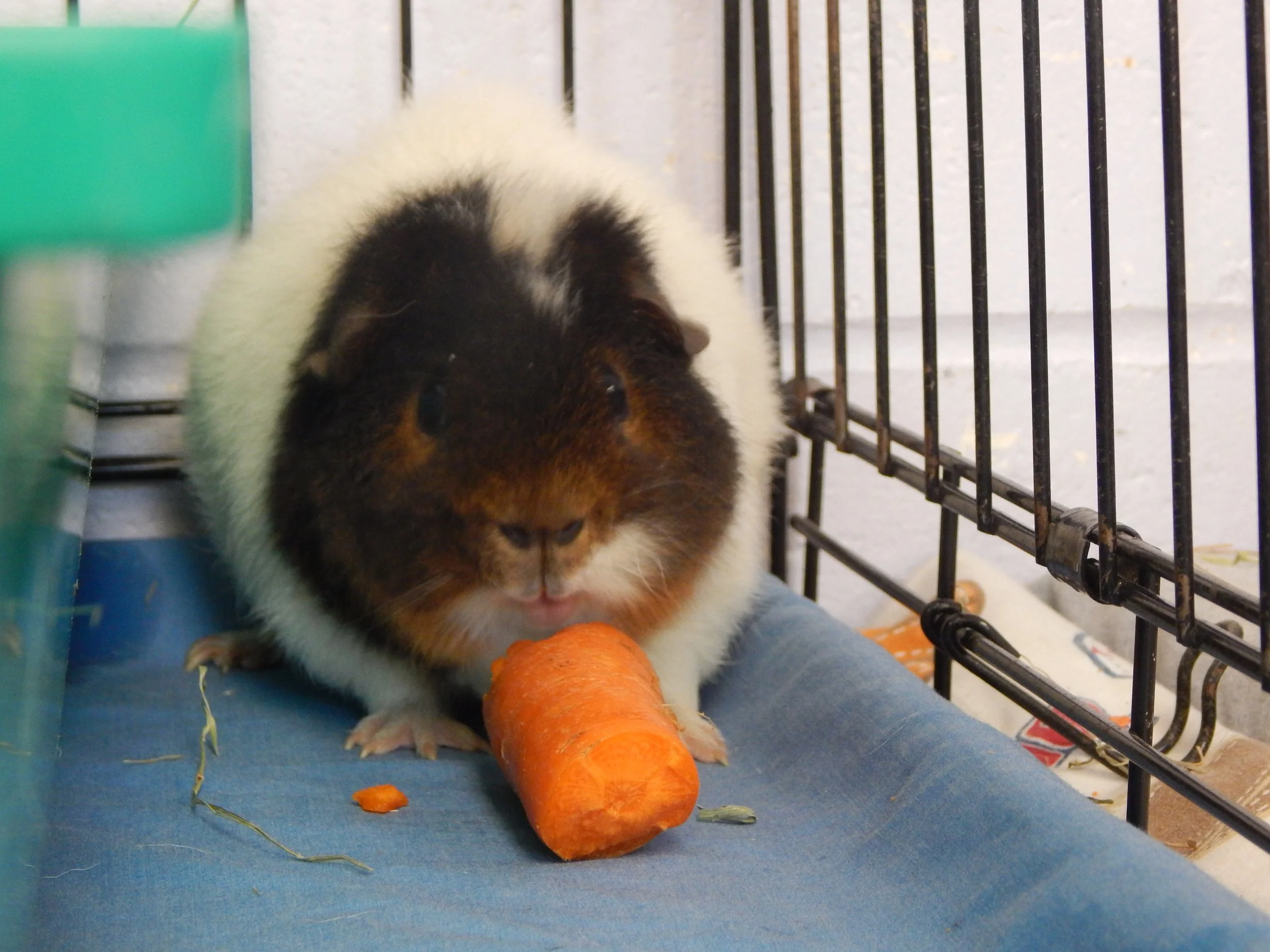 DSCN9625.JPG