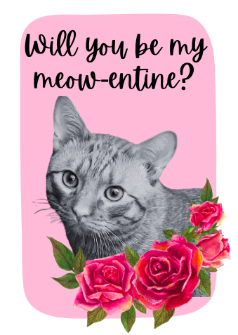 Valentine's Day Cards