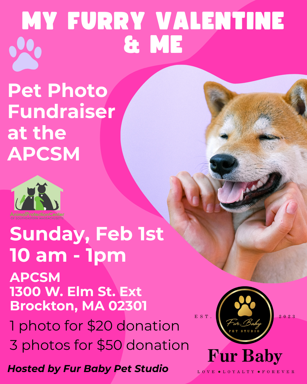 My Furry Valentine & Me: Pet Photo Fundraiser