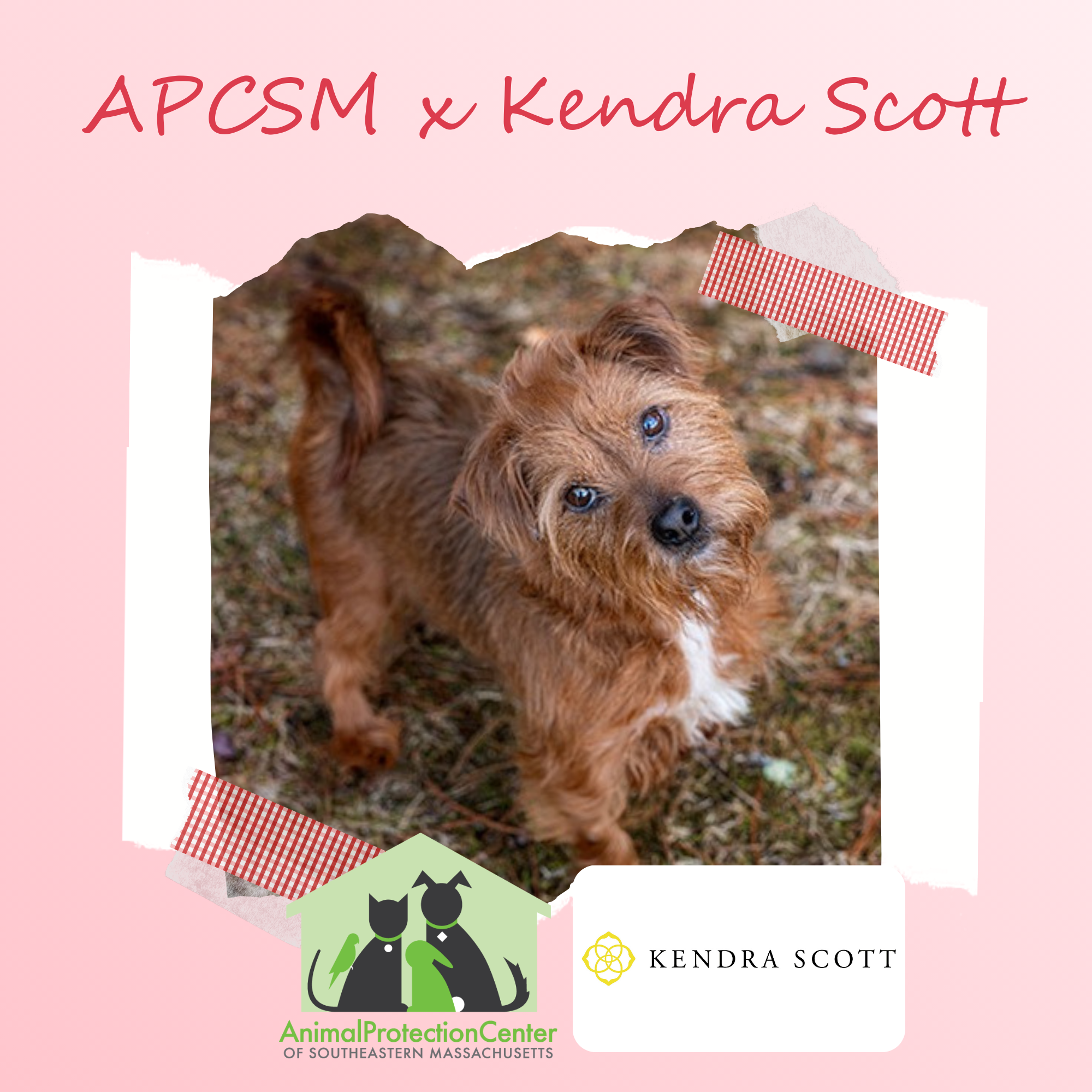 Kendra Scott Valentine’s Fundraiser