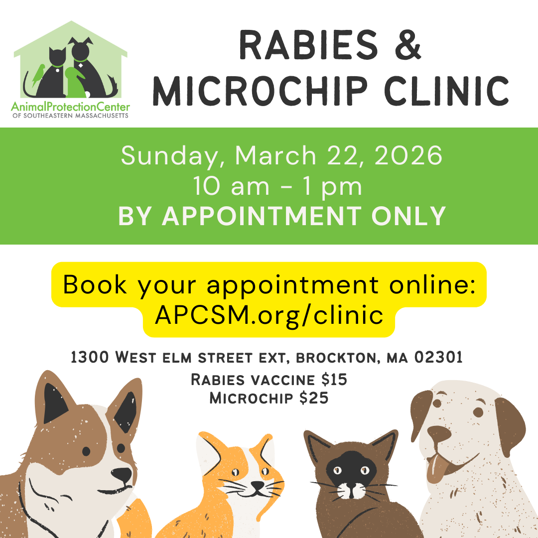 Rabies & Microchip Clinic