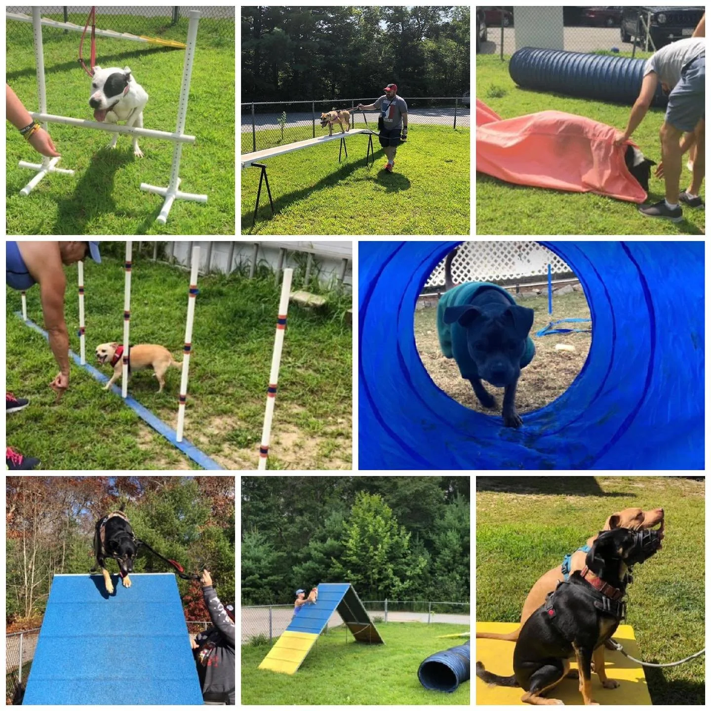 Agility Open House