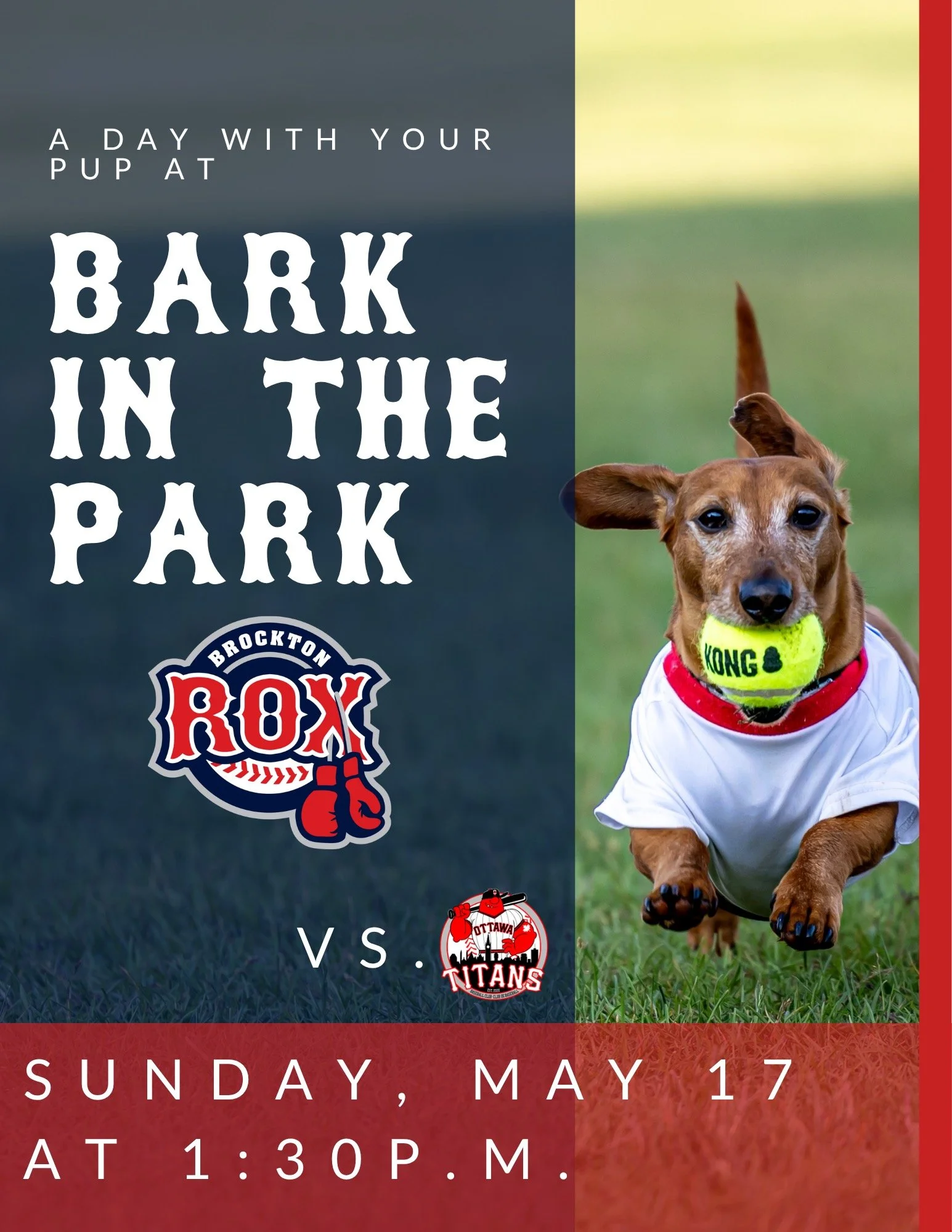 Bark in the Park at Campanelli Stadium