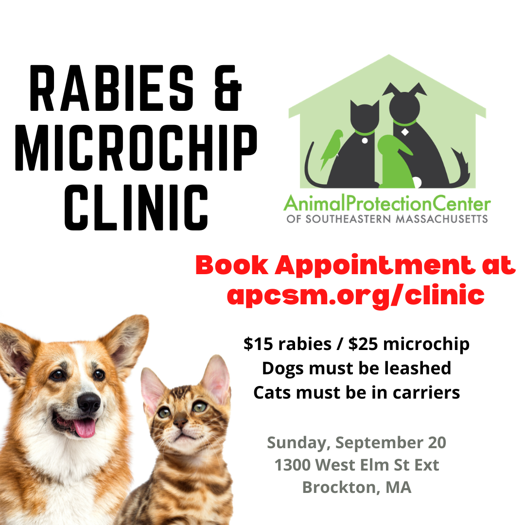 Rabies &amp; Microchip Clinic